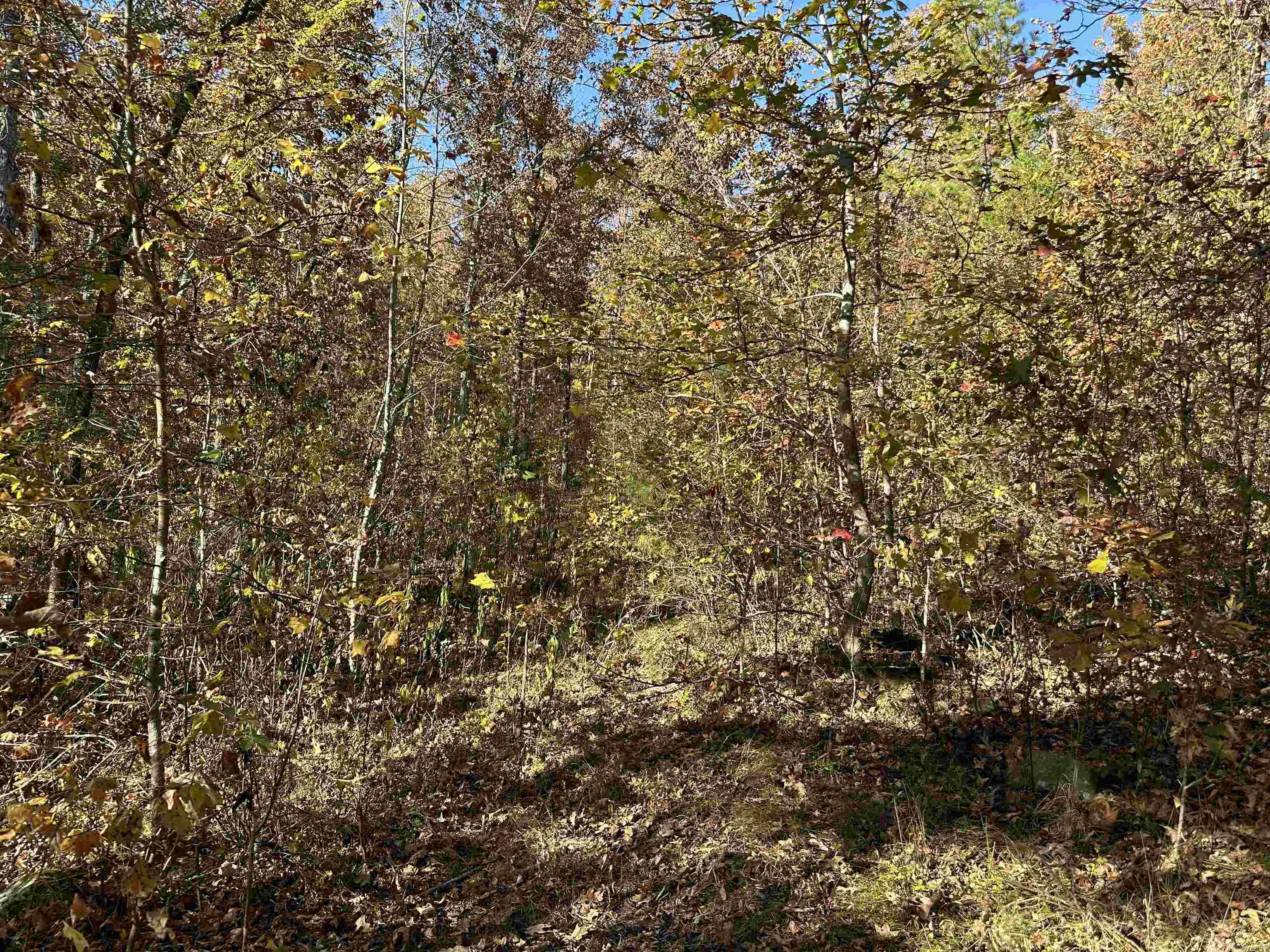 1917  Little Red River Rd  Marshall, AR