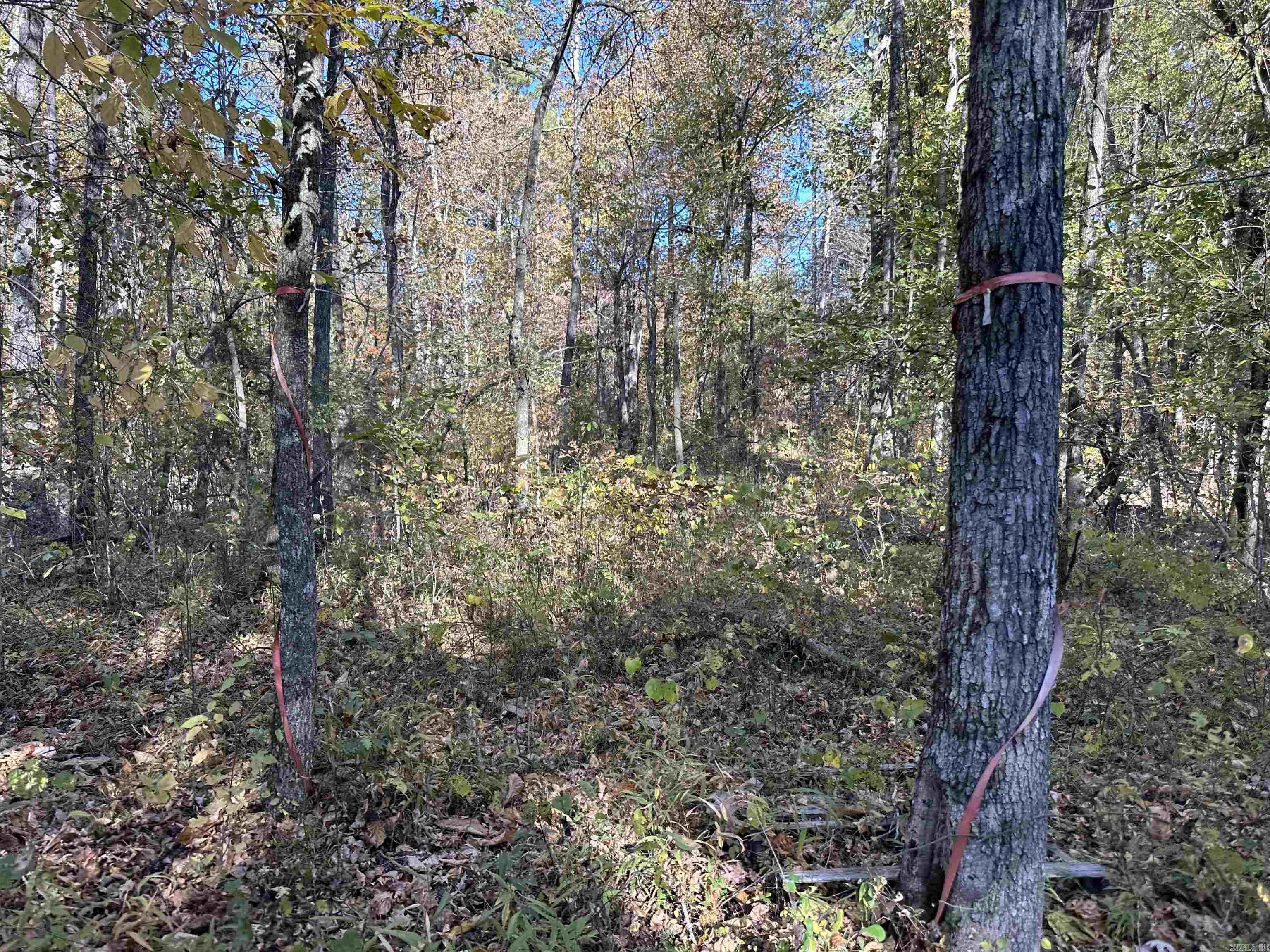 1917  Little Red River Rd  Marshall, AR
