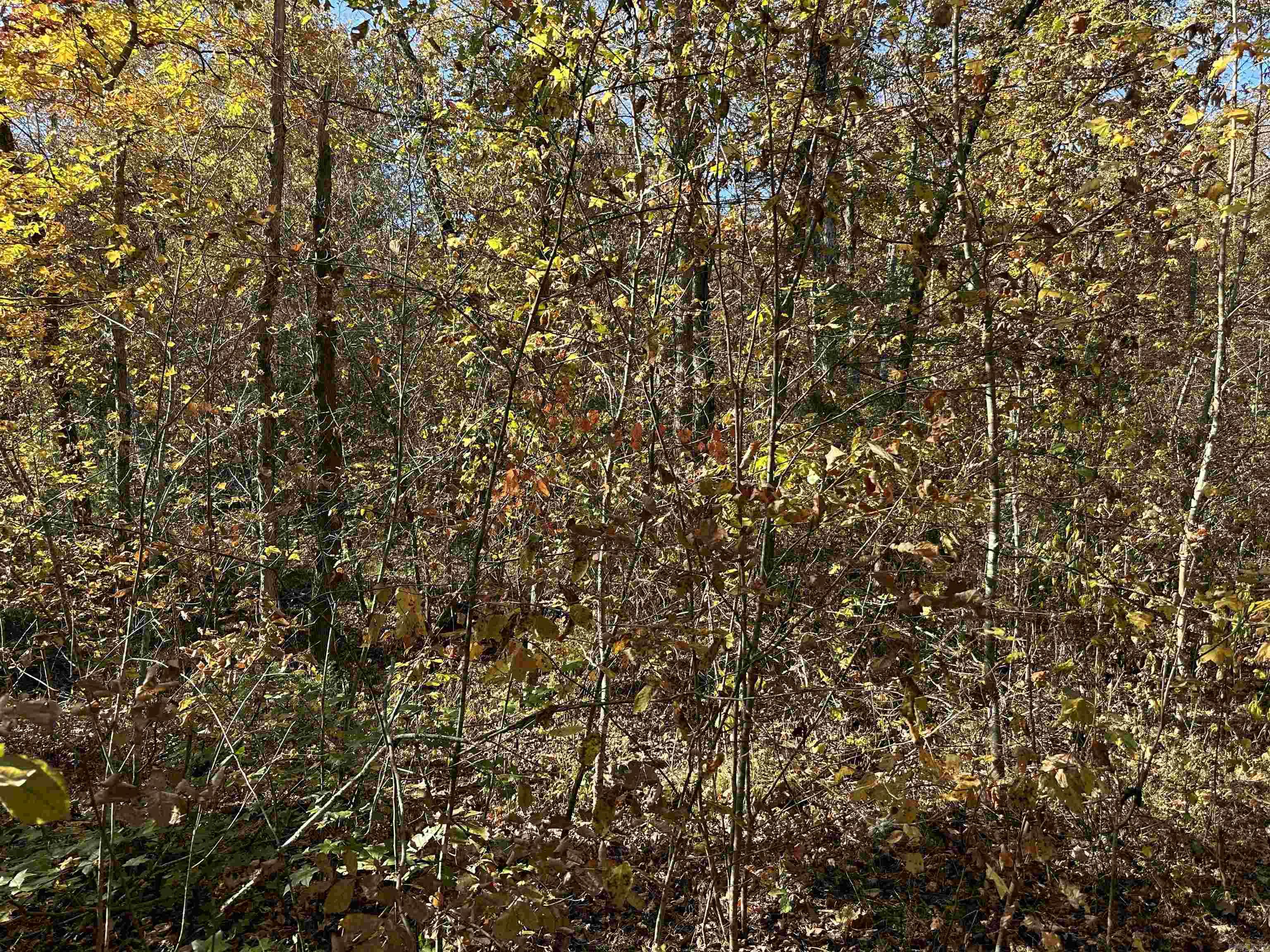 1917  Little Red River Rd  Marshall, AR