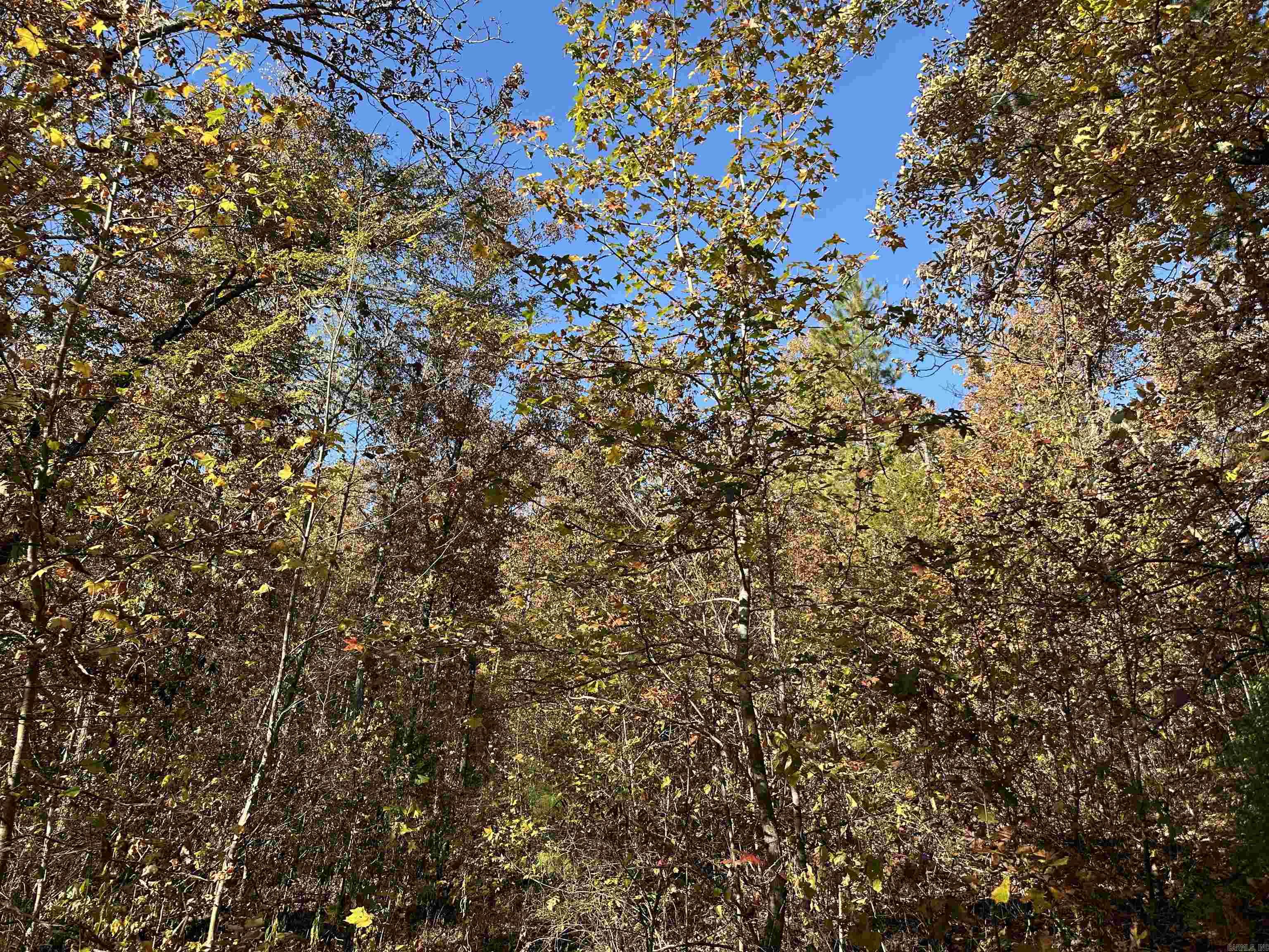 1917  Little Red River Rd  Marshall, AR