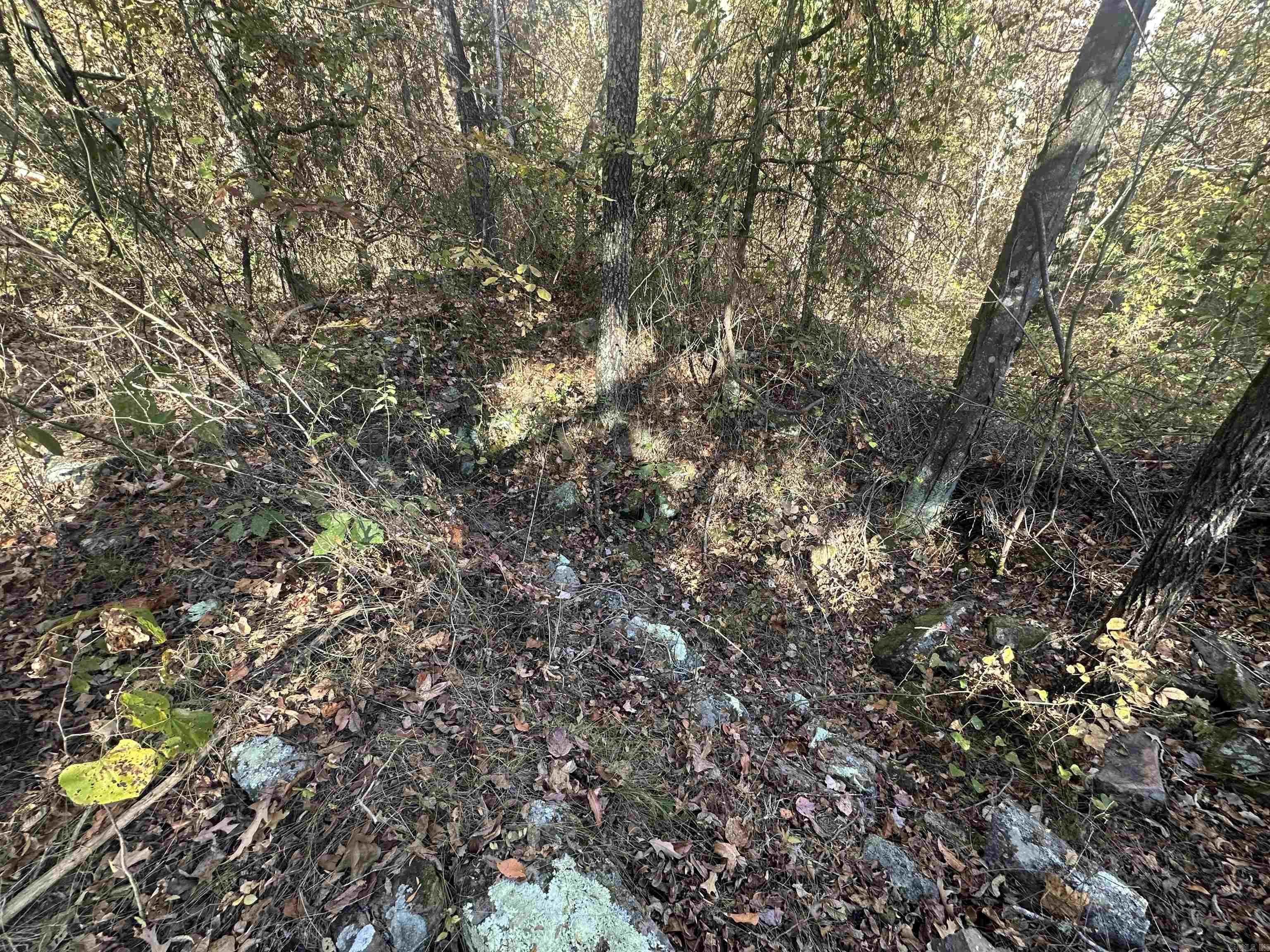 1917  Little Red River Rd  Marshall, AR