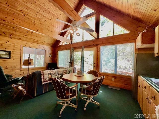 140  Danny  Mountain View, AR