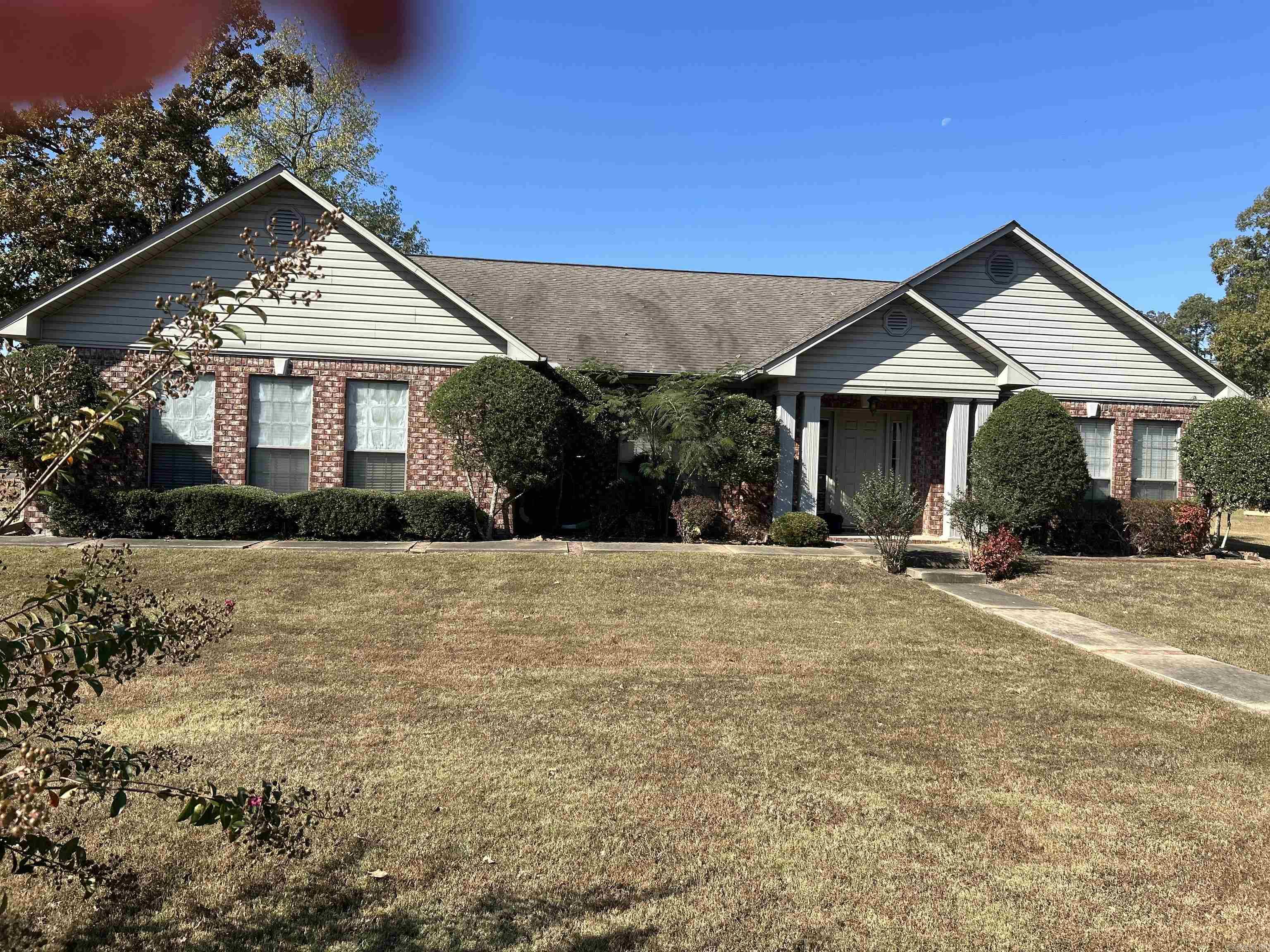 203  Merganser  Hot Springs, AR