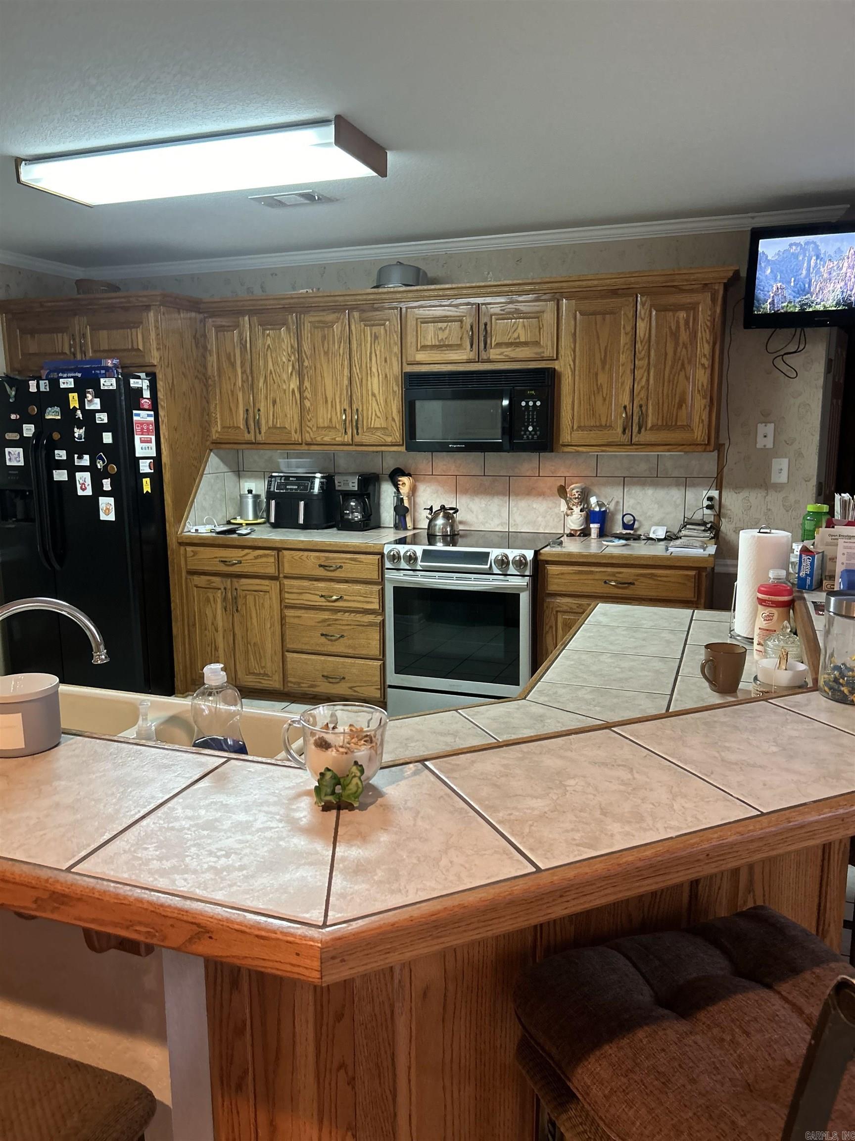 203  Merganser  Hot Springs, AR