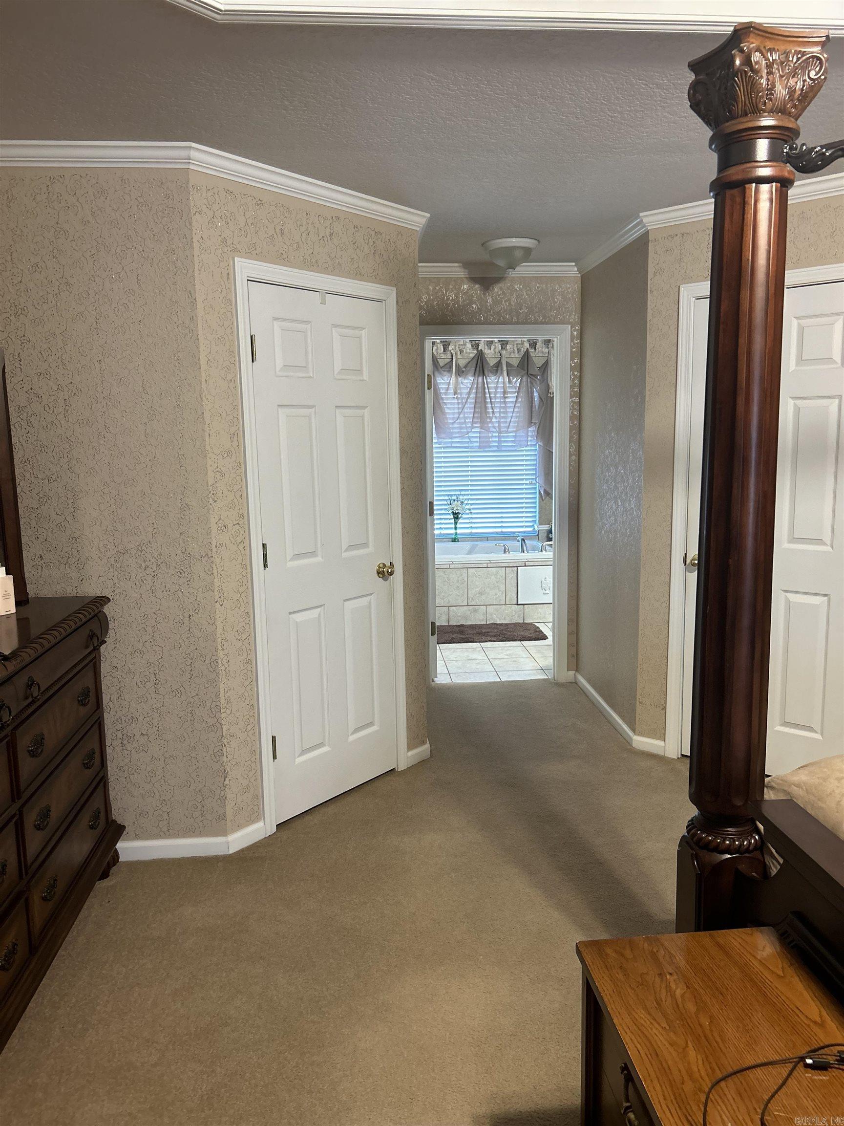 203  Merganser  Hot Springs, AR