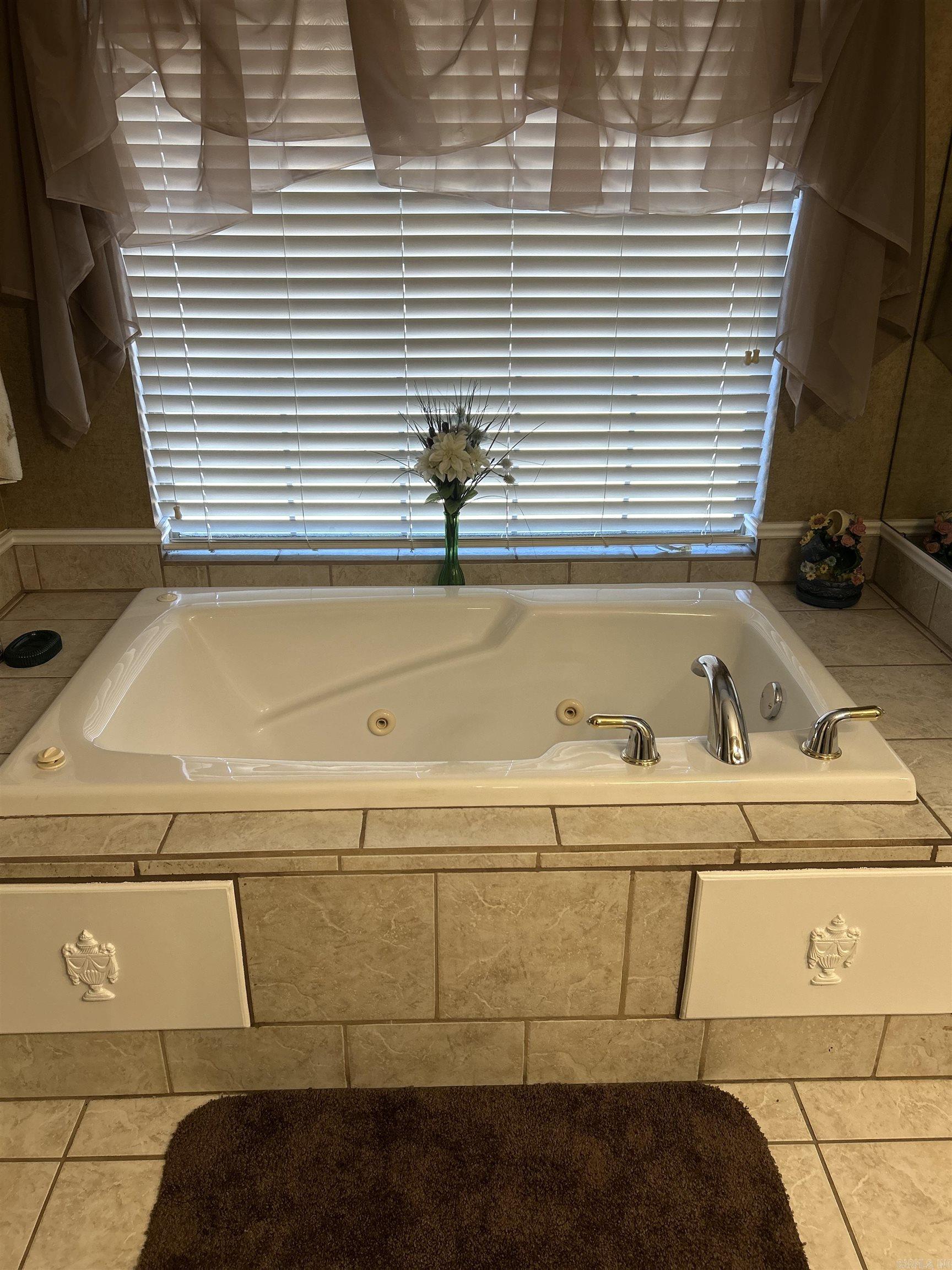 203  Merganser  Hot Springs, AR