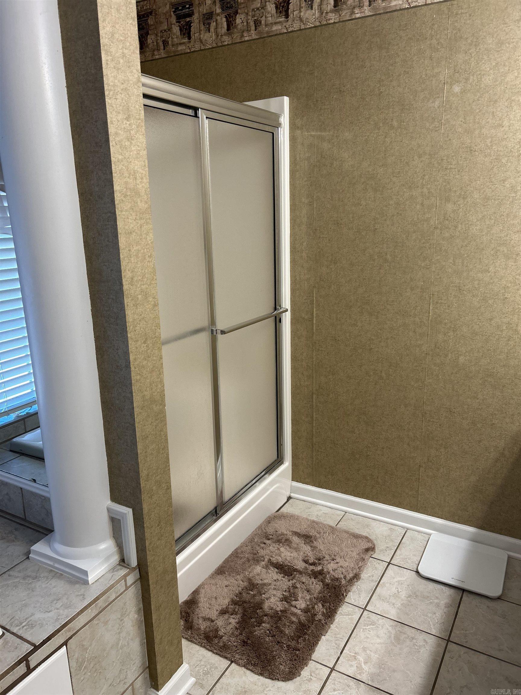 203  Merganser  Hot Springs, AR