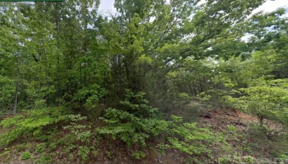 103  Isabella  Horseshoe Bend, AR