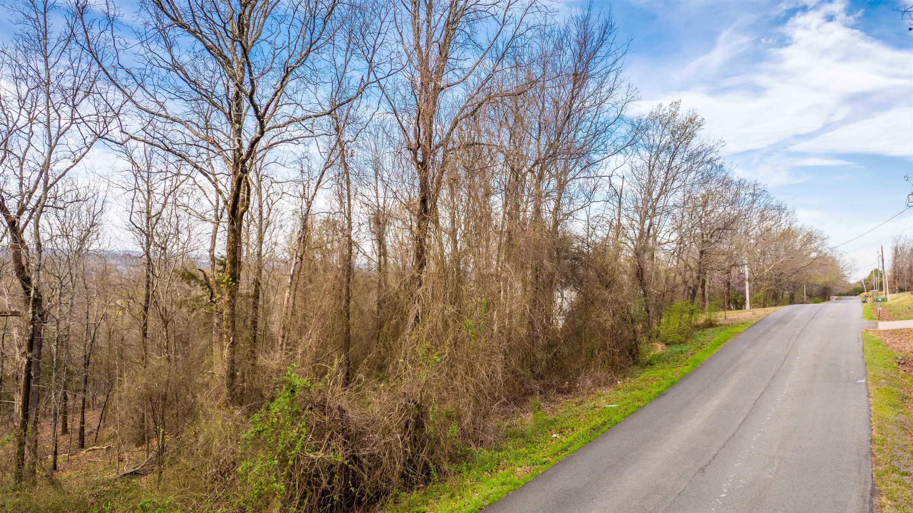 11  Overlook  Conway, AR