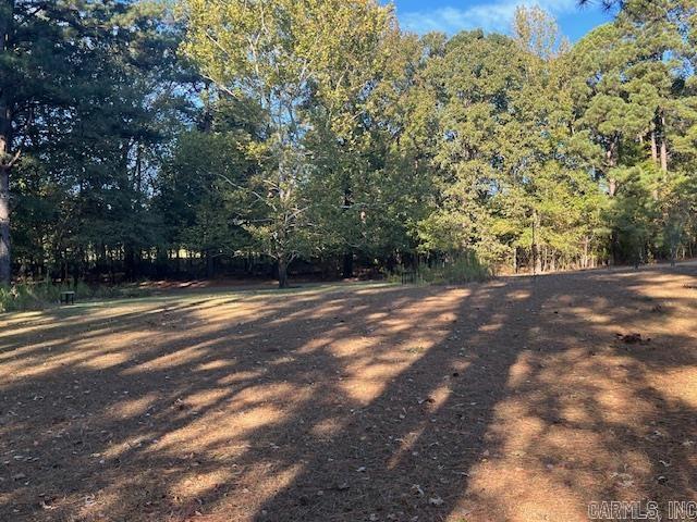175  Quail Run  Monticello, AR