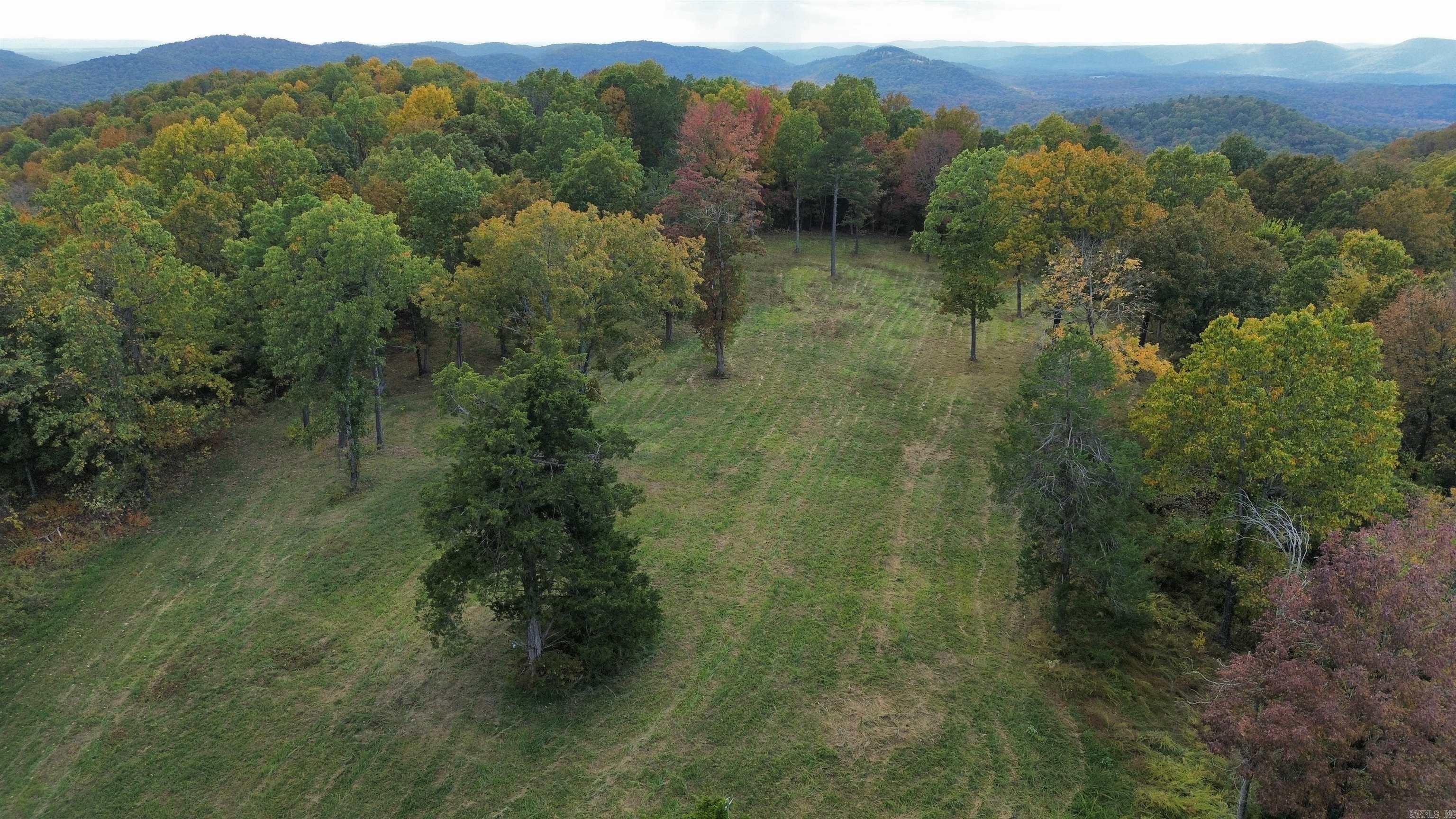 207  Hippy Hollow Lane  Melbourne, AR