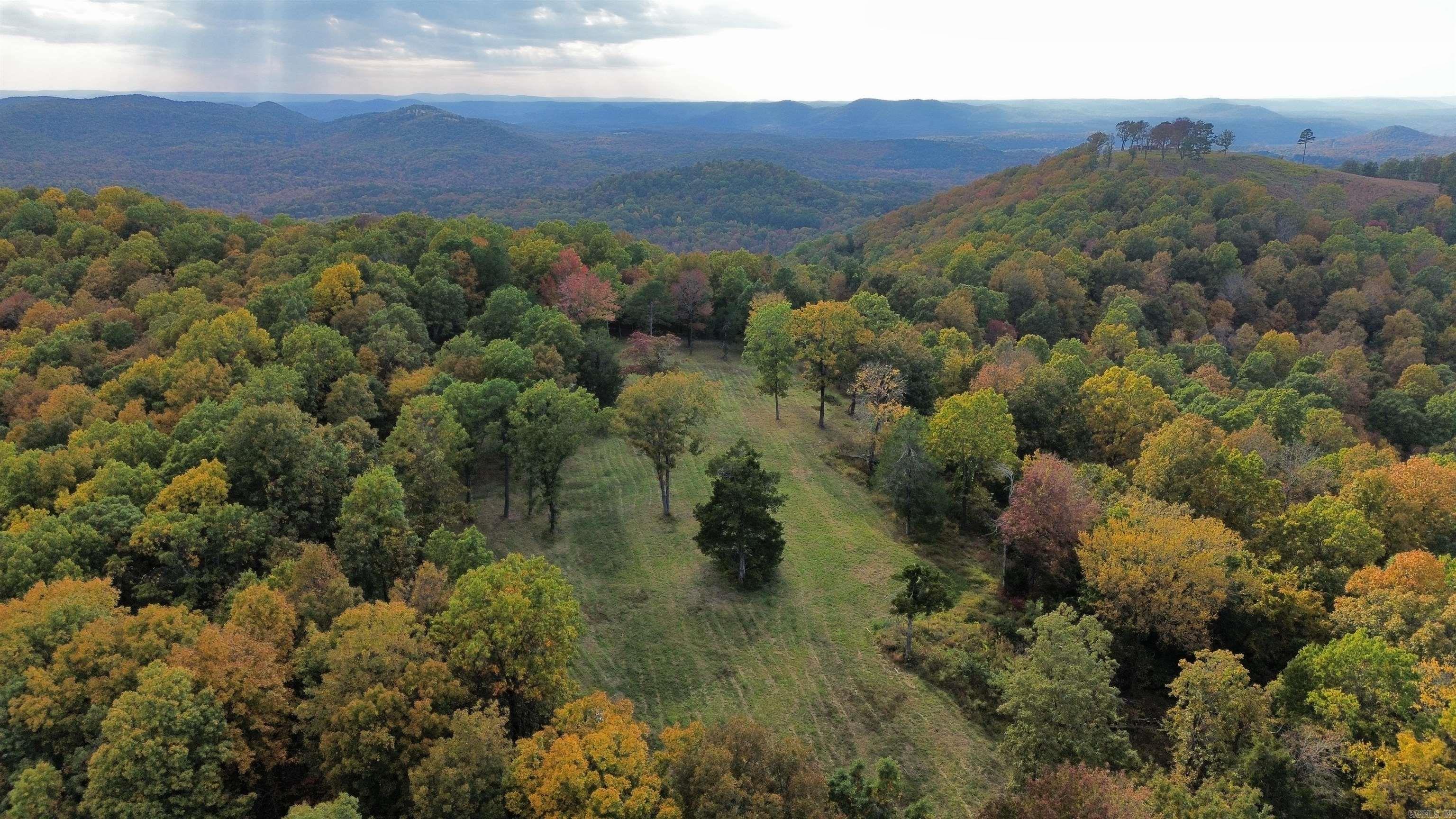 207  Hippy Hollow Lane  Melbourne, AR