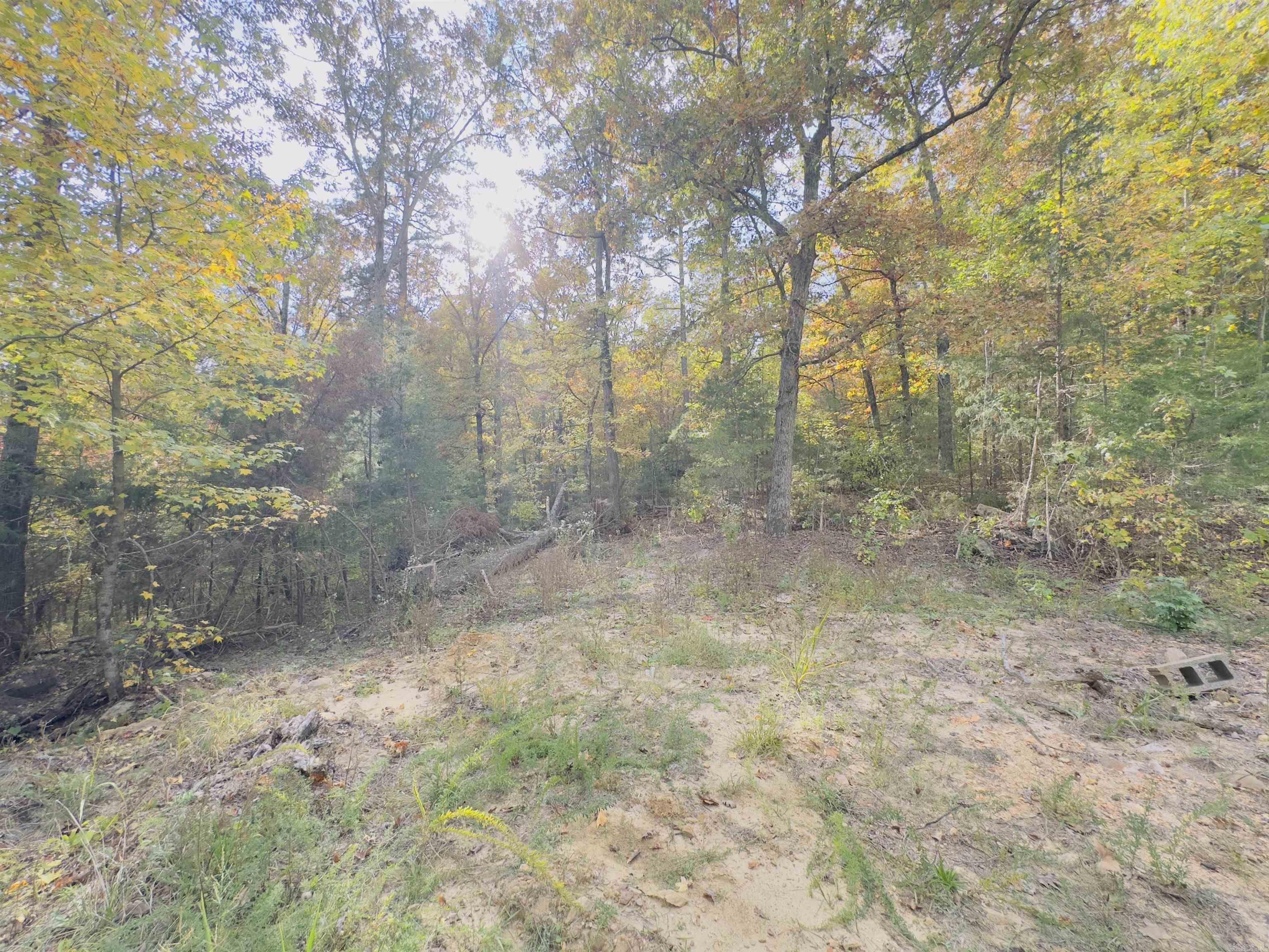 207  Hippy Hollow Lane  Melbourne, AR