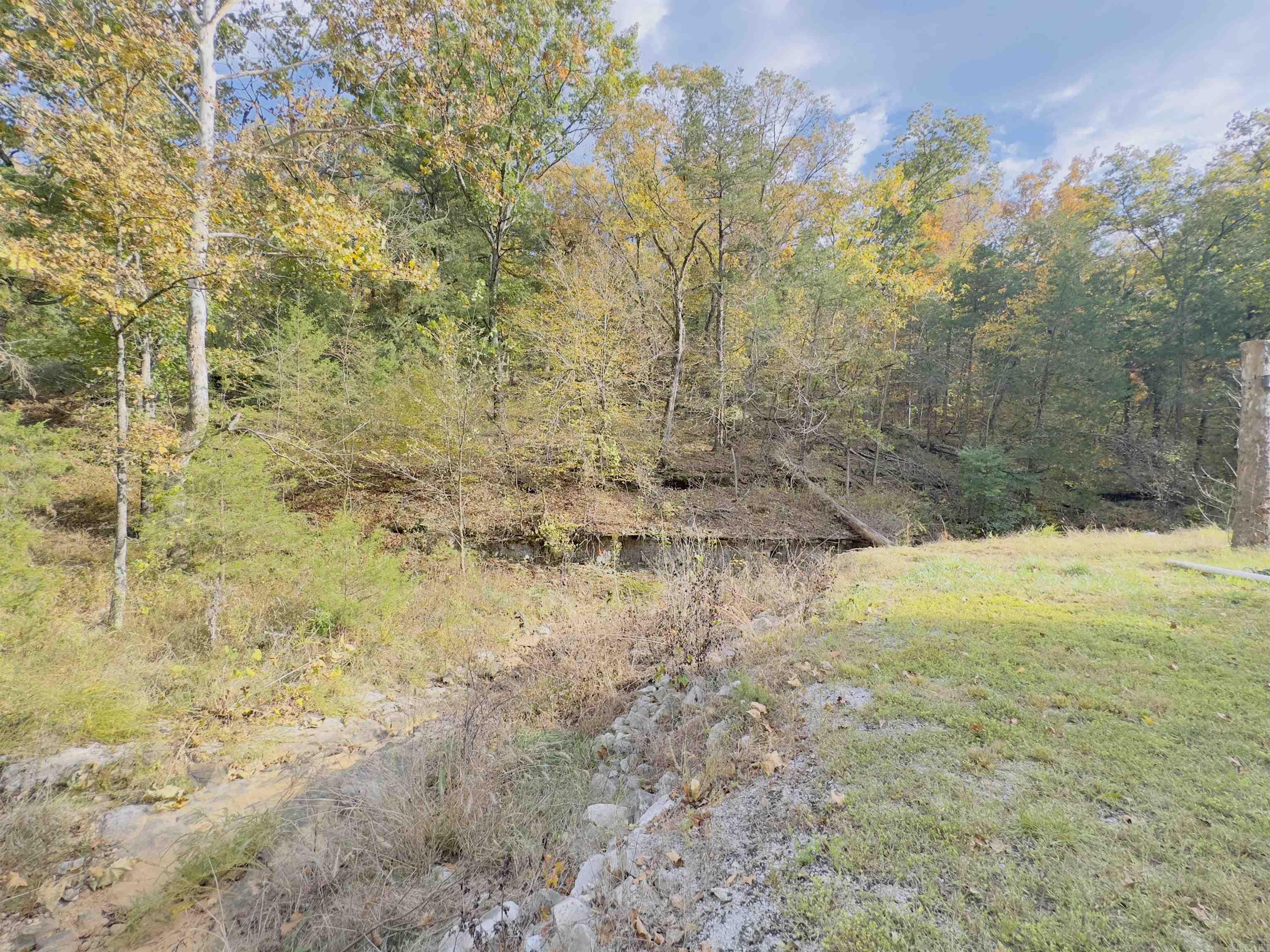 207  Hippy Hollow Lane  Melbourne, AR