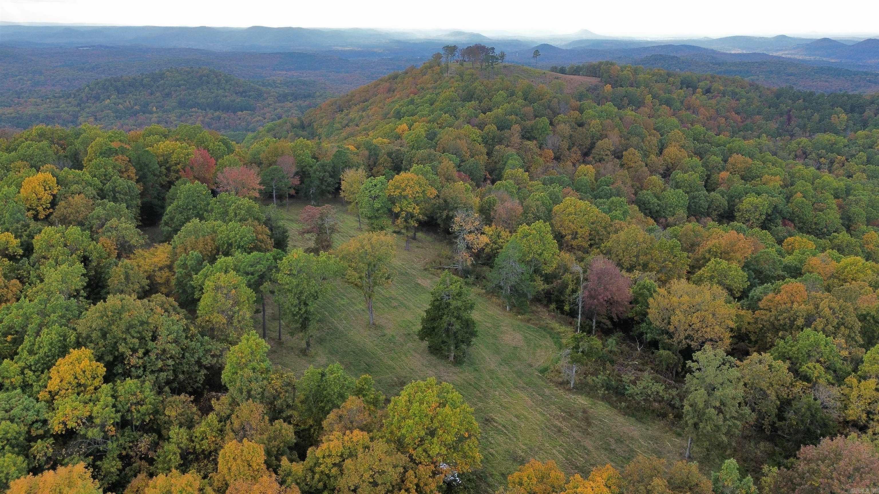 207  Hippy Hollow Lane  Melbourne, AR