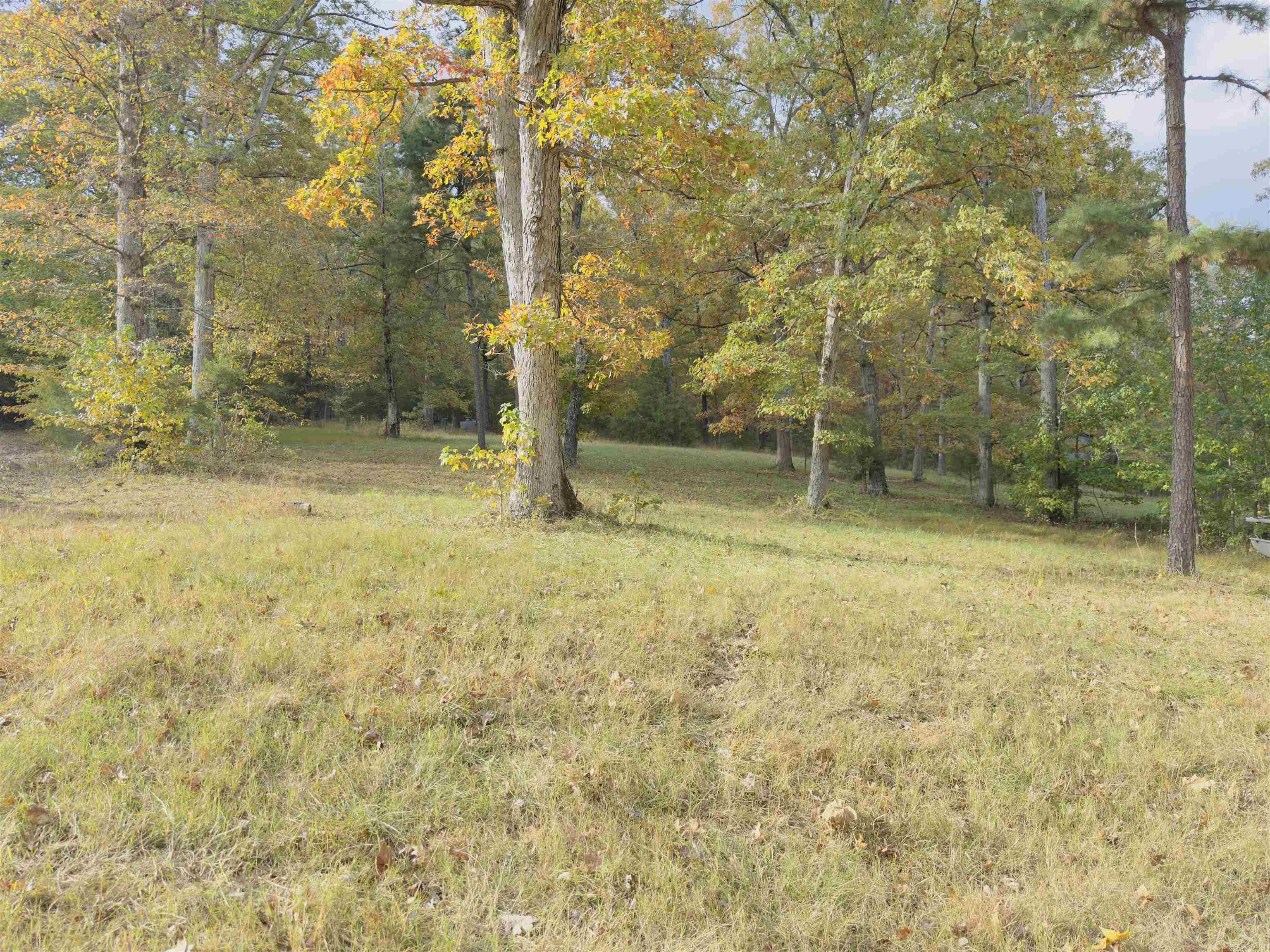 207  Hippy Hollow Lane  Melbourne, AR