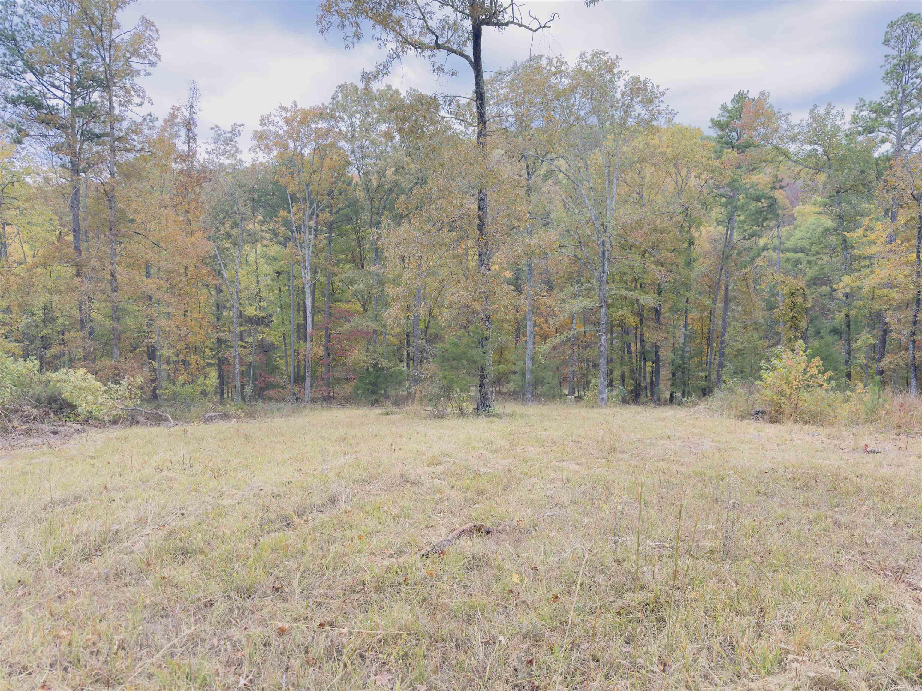 207  Hippy Hollow Lane  Melbourne, AR