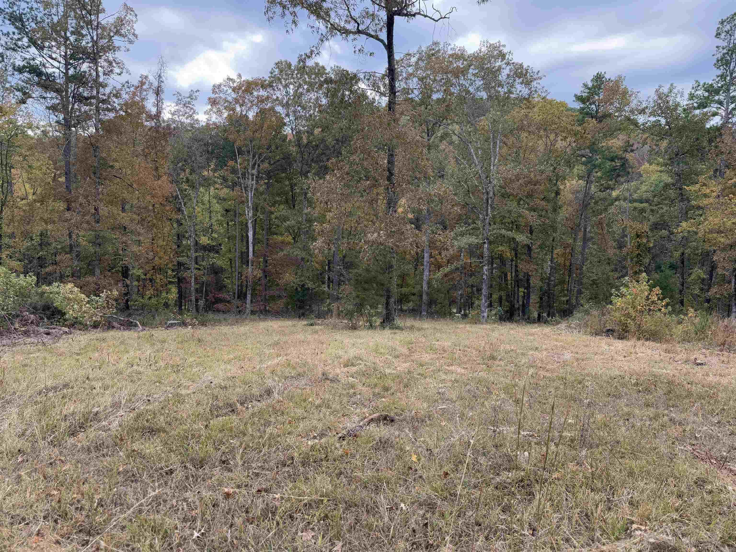 207  Hippy Hollow Lane  Melbourne, AR