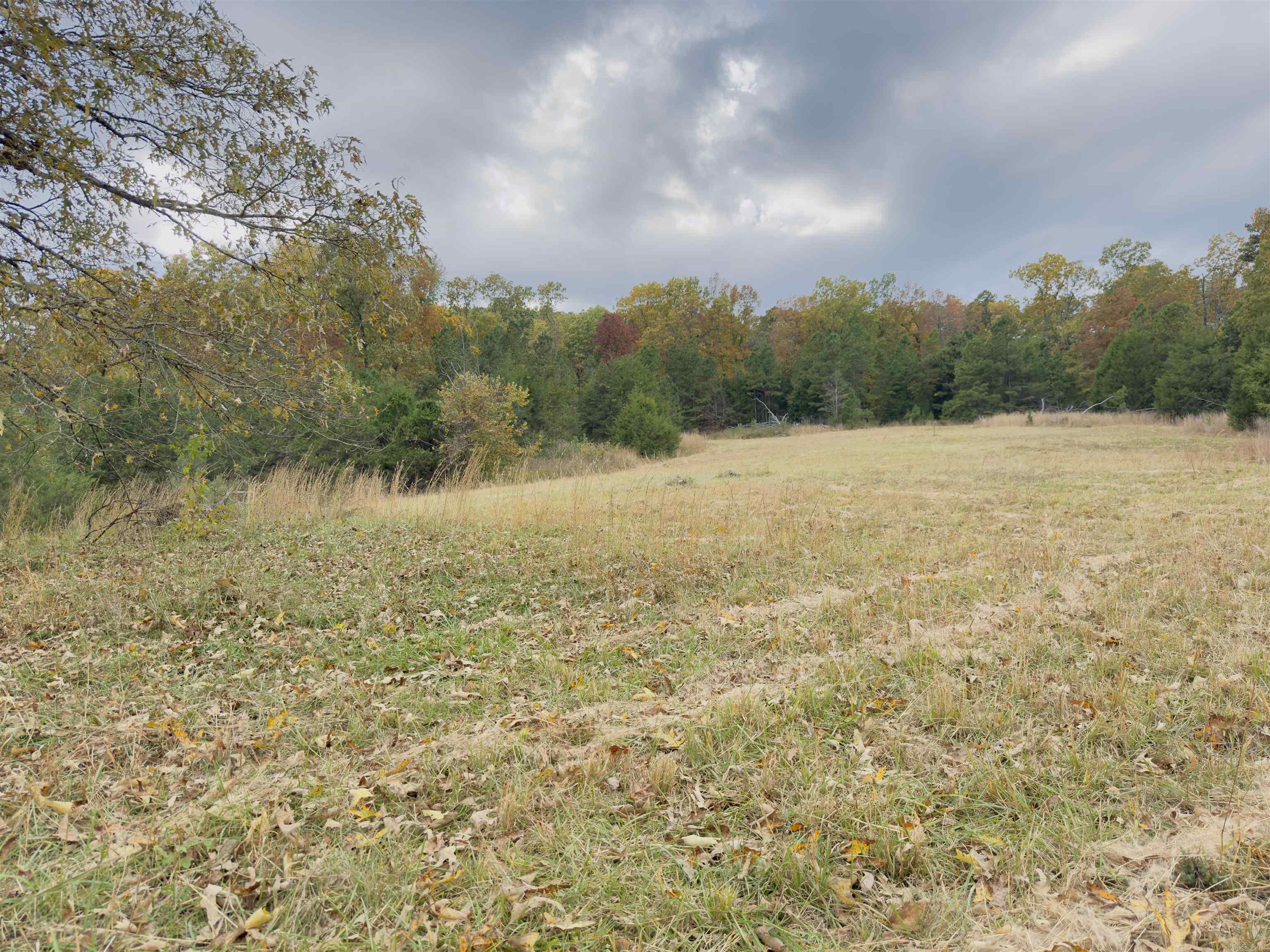 207  Hippy Hollow Lane  Melbourne, AR