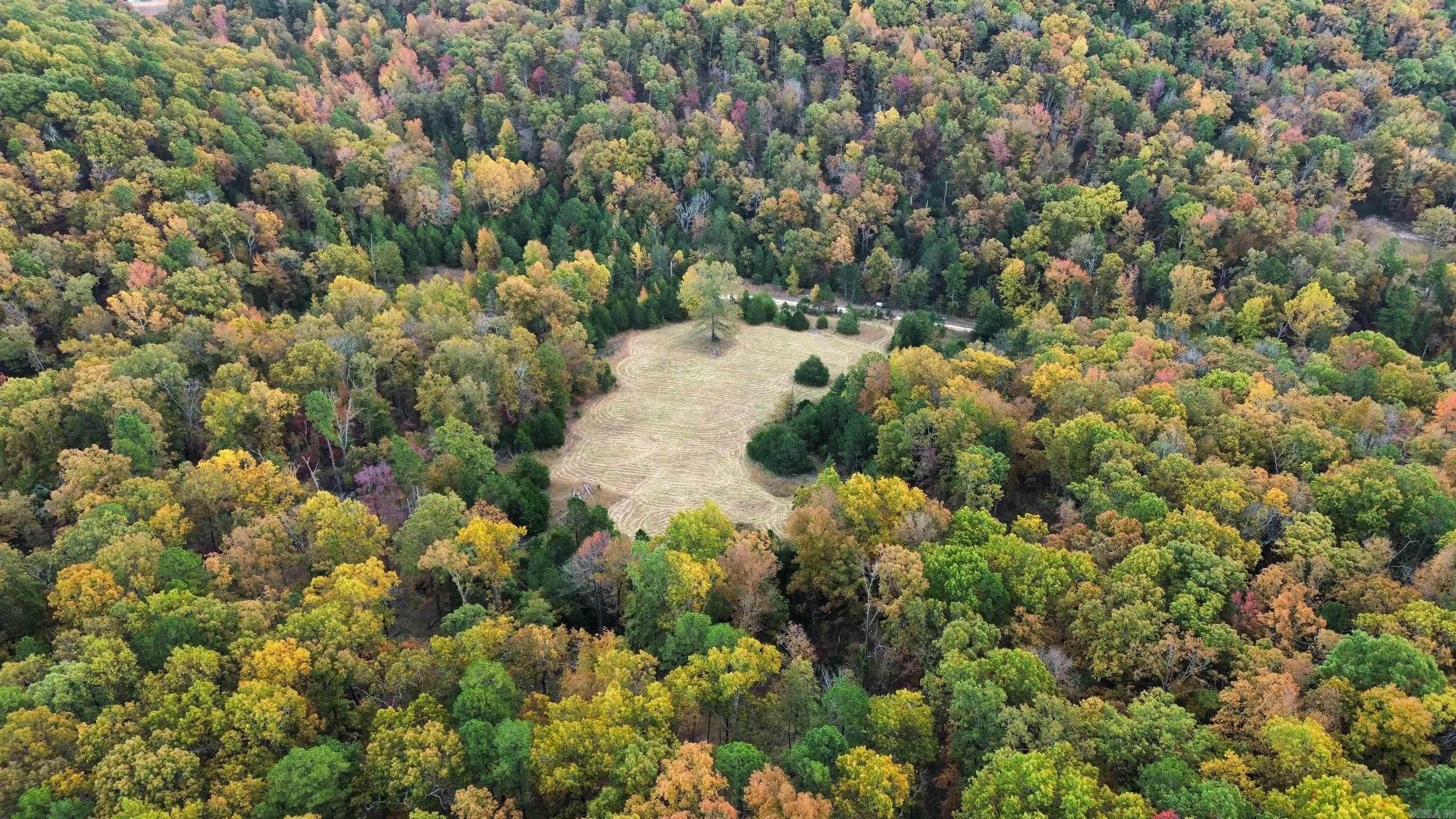 207  Hippy Hollow Lane  Melbourne, AR