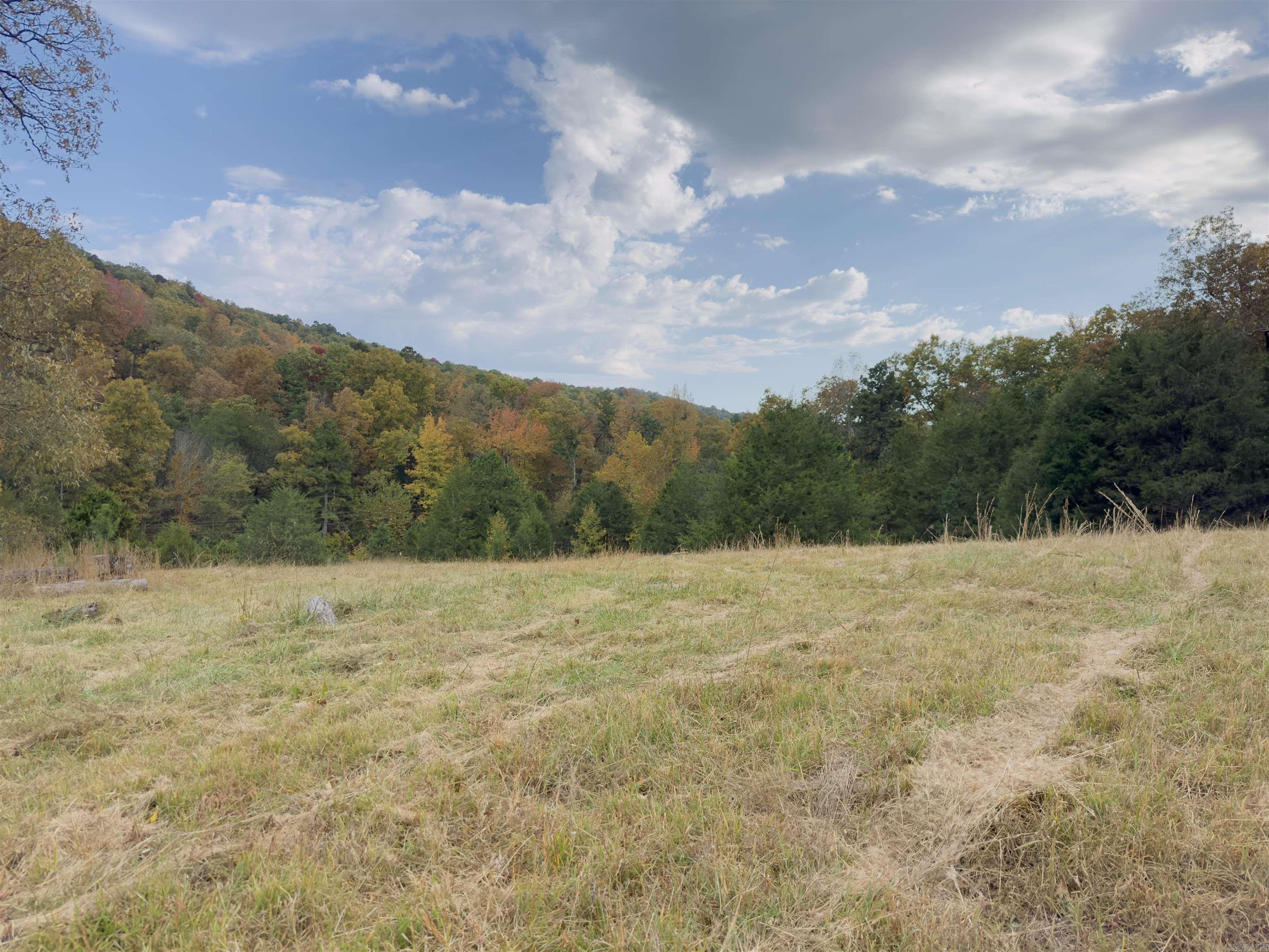 207  Hippy Hollow Lane  Melbourne, AR