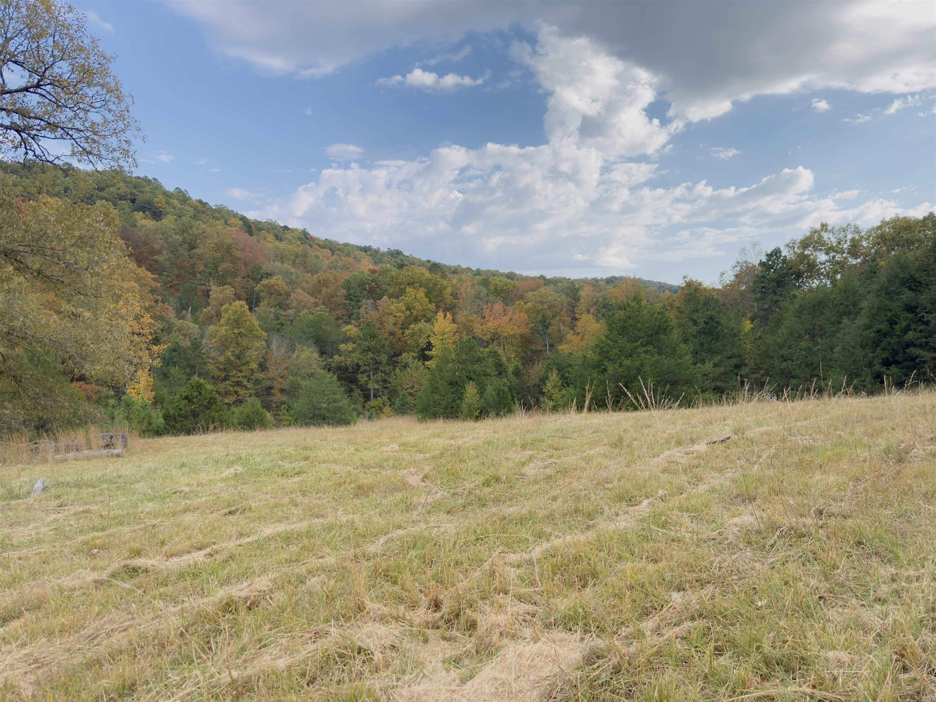 207  Hippy Hollow Lane  Melbourne, AR