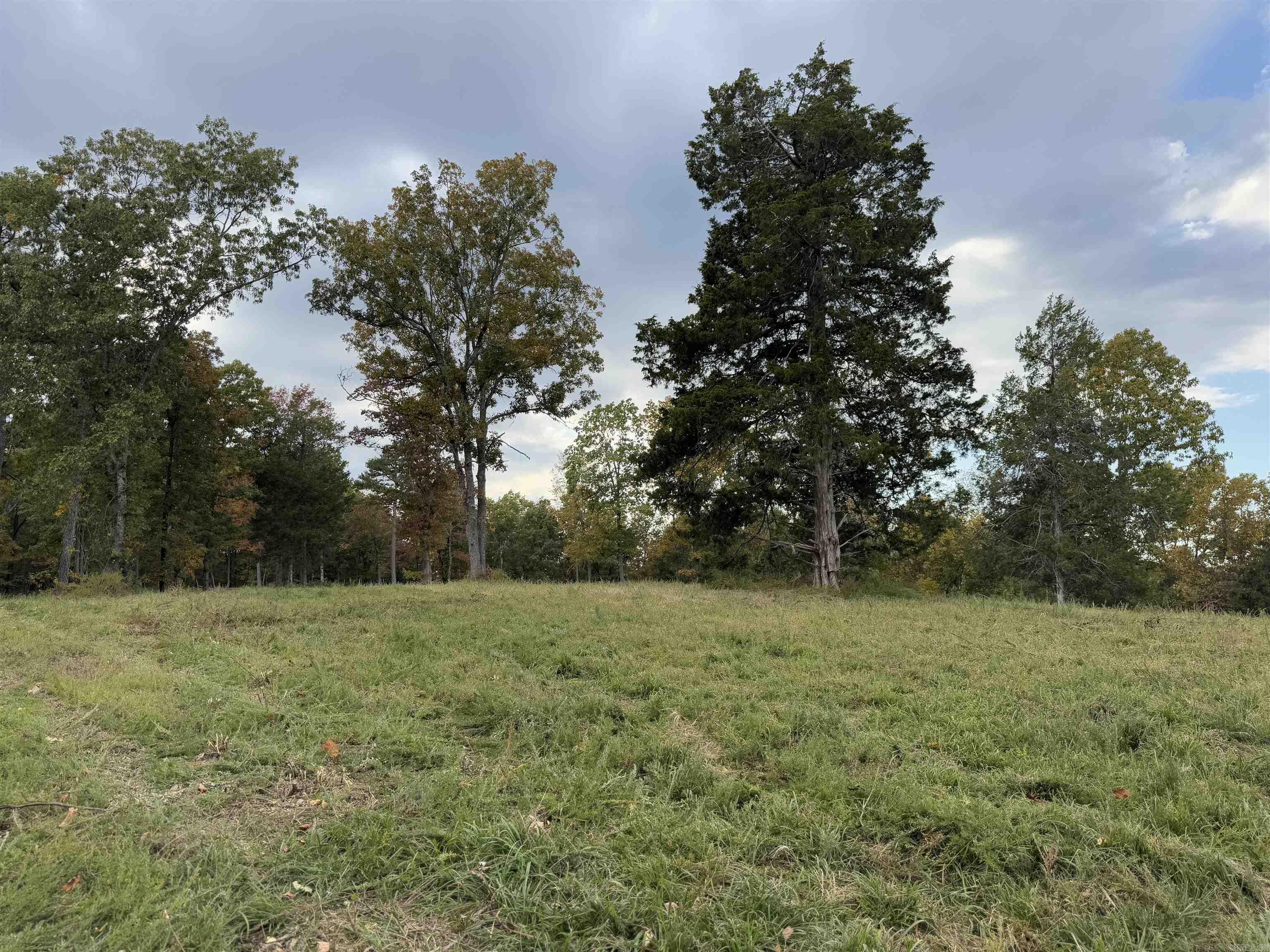 207  Hippy Hollow Lane  Melbourne, AR