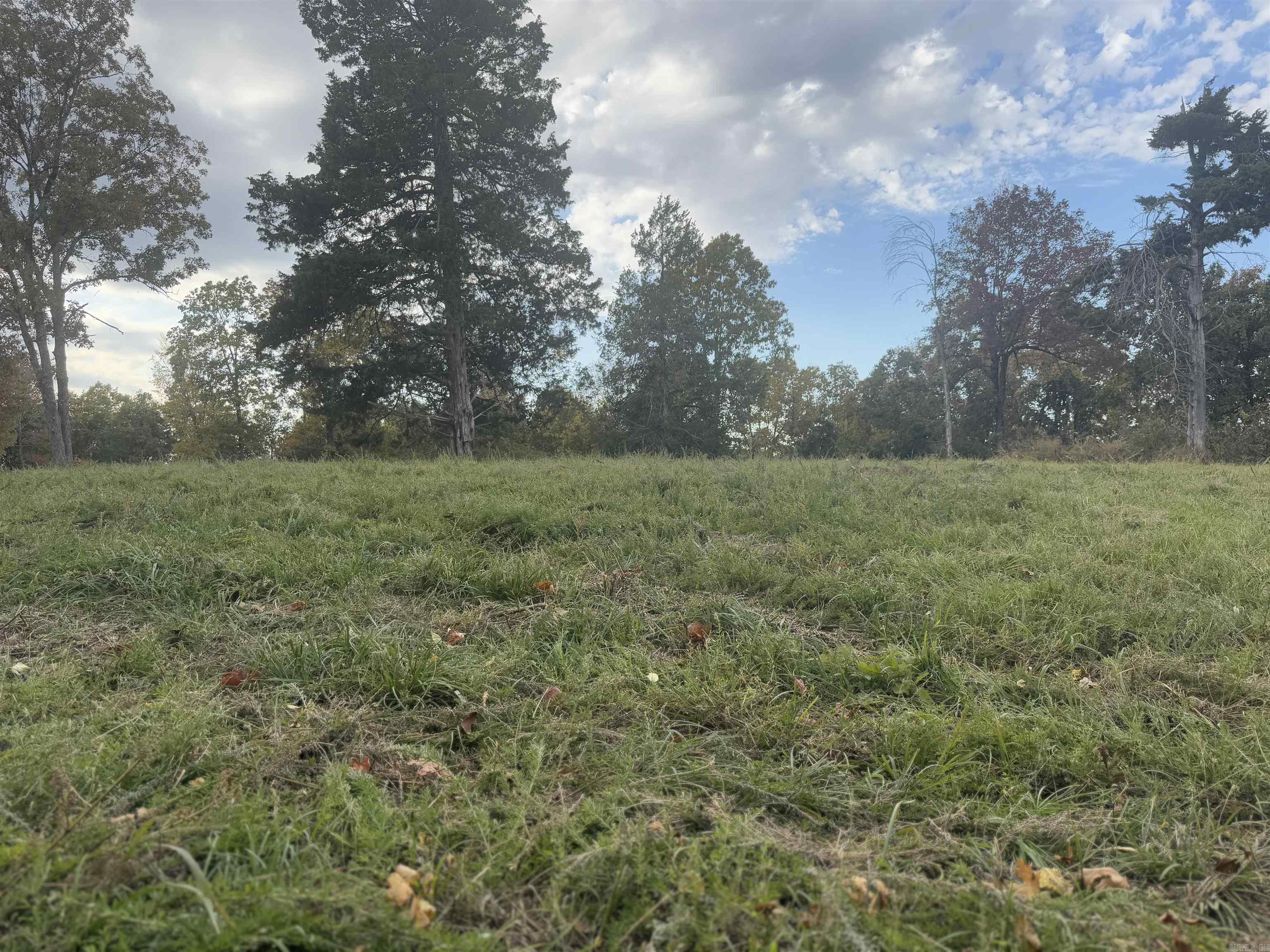 207  Hippy Hollow Lane  Melbourne, AR