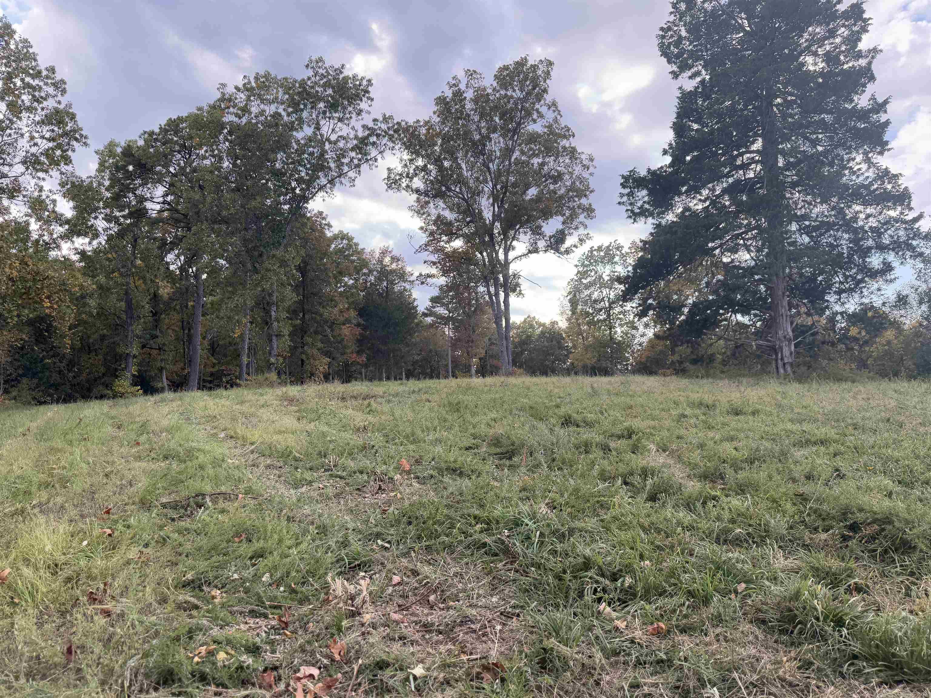 207  Hippy Hollow Lane  Melbourne, AR