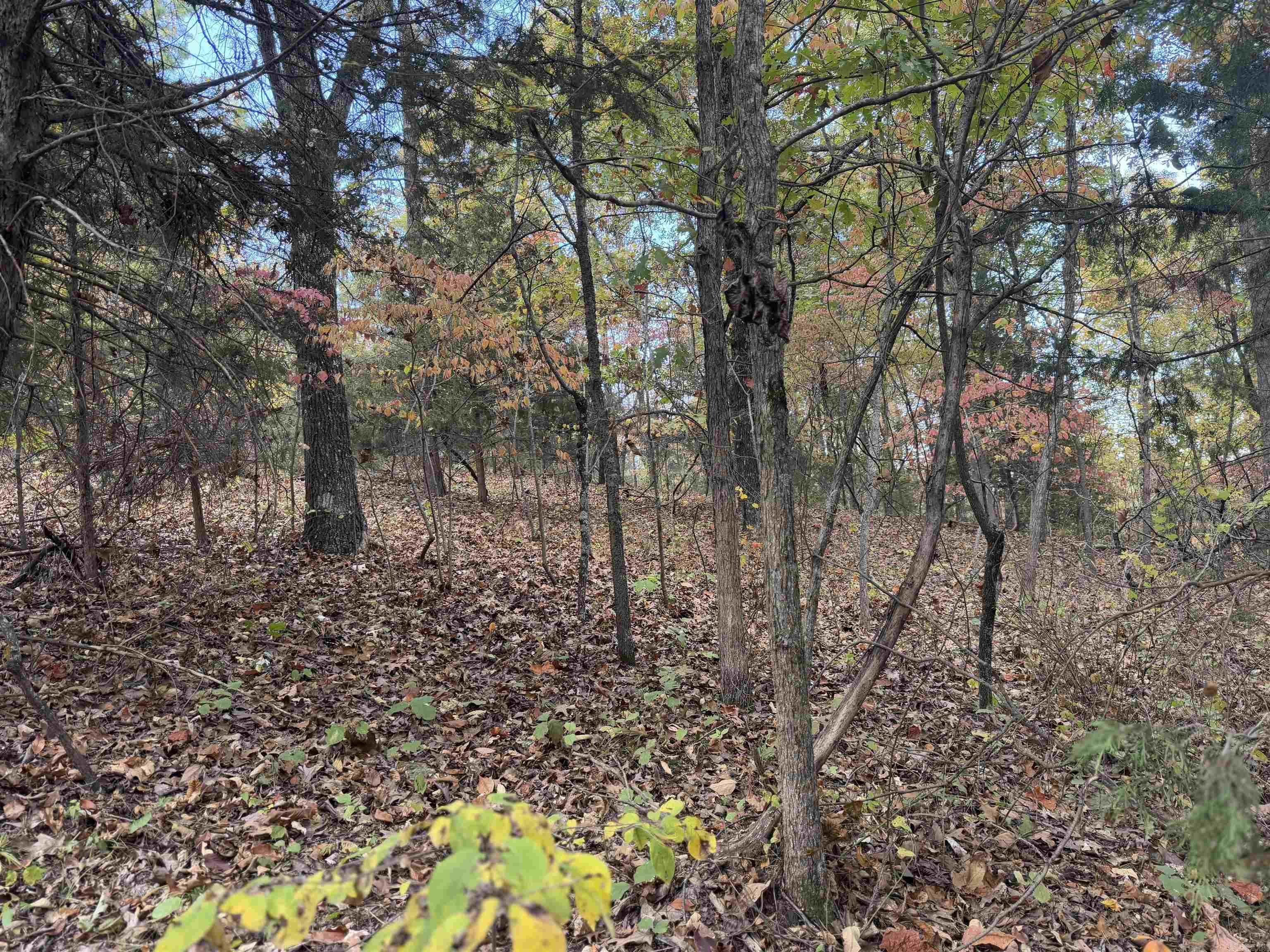 207  Hippy Hollow Lane  Melbourne, AR
