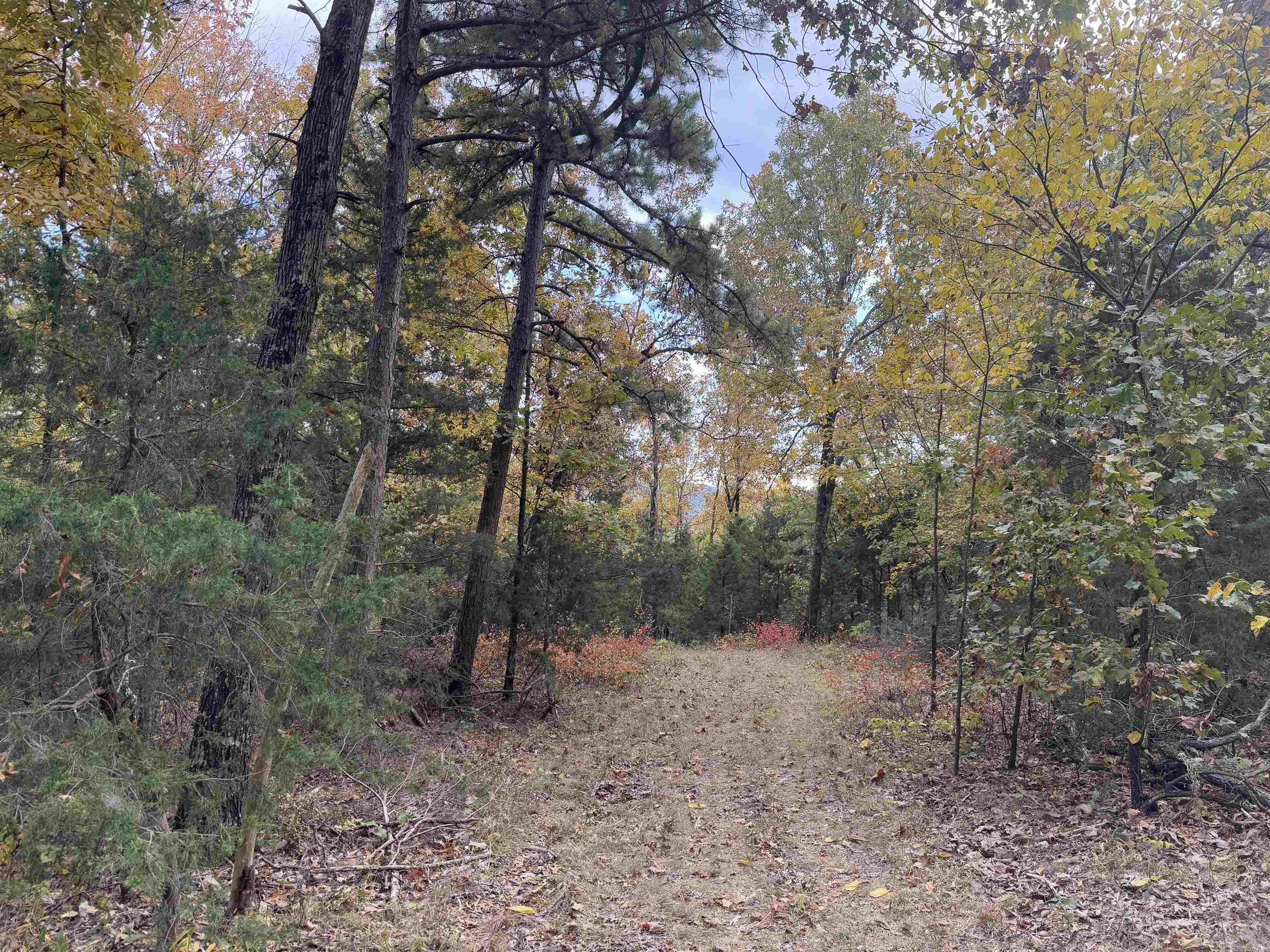 207  Hippy Hollow Lane  Melbourne, AR