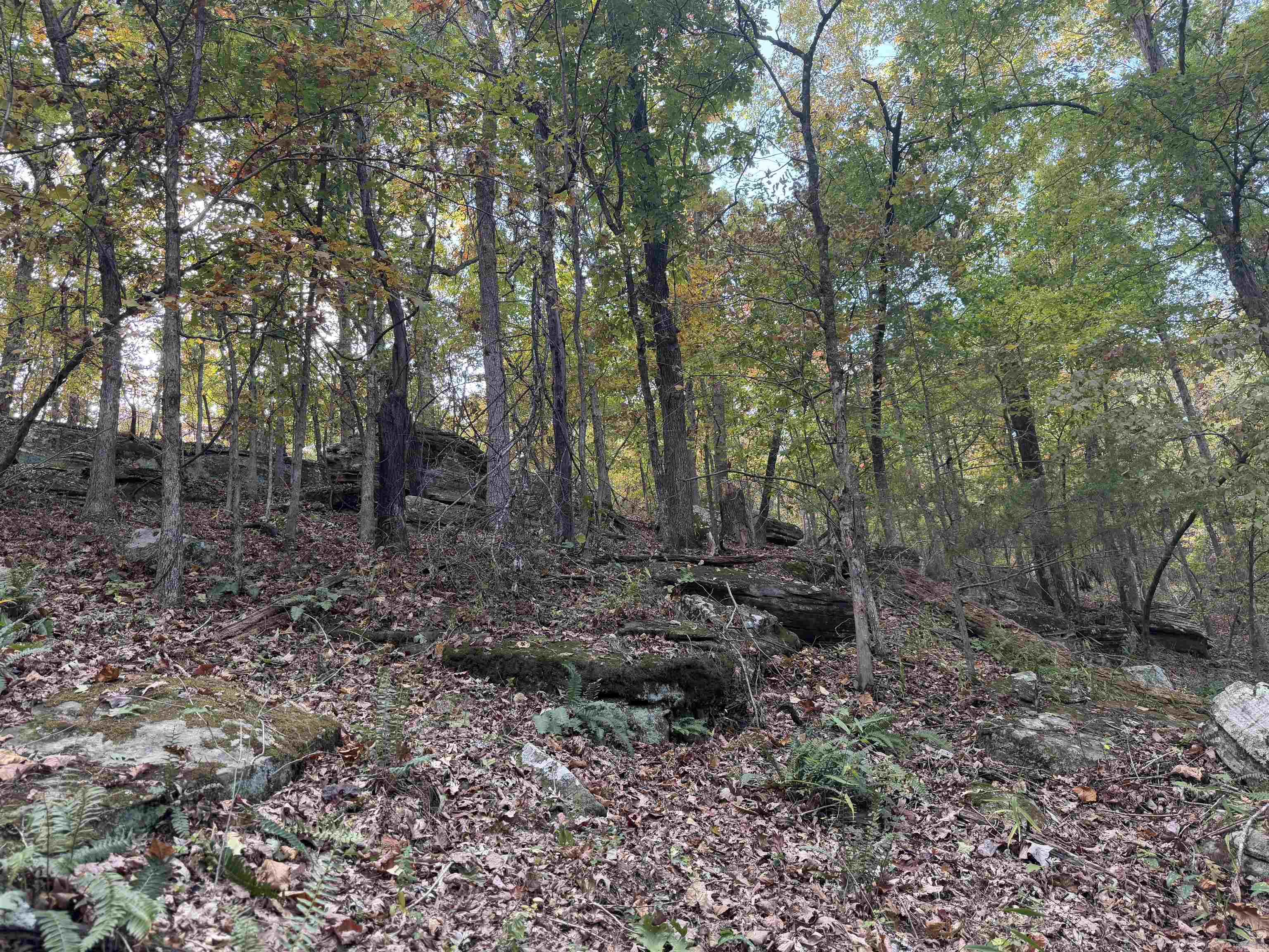 207  Hippy Hollow Lane  Melbourne, AR