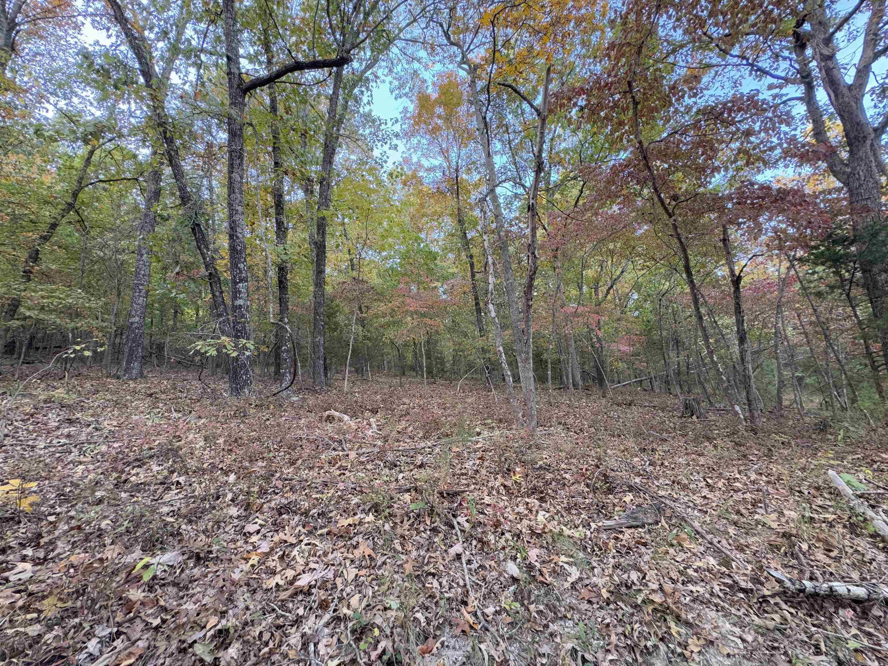 207  Hippy Hollow Lane  Melbourne, AR
