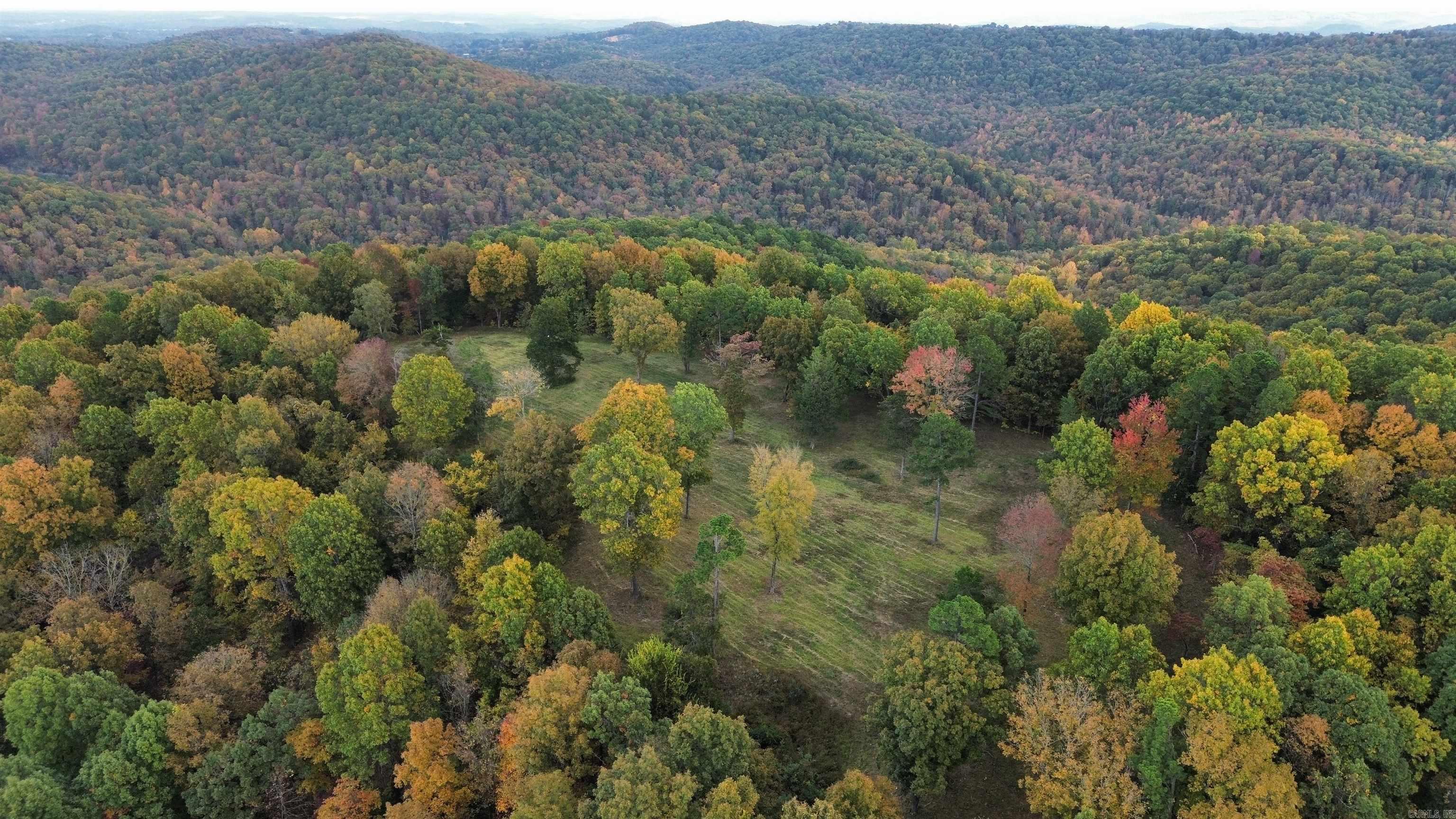 207  Hippy Hollow Lane  Melbourne, AR
