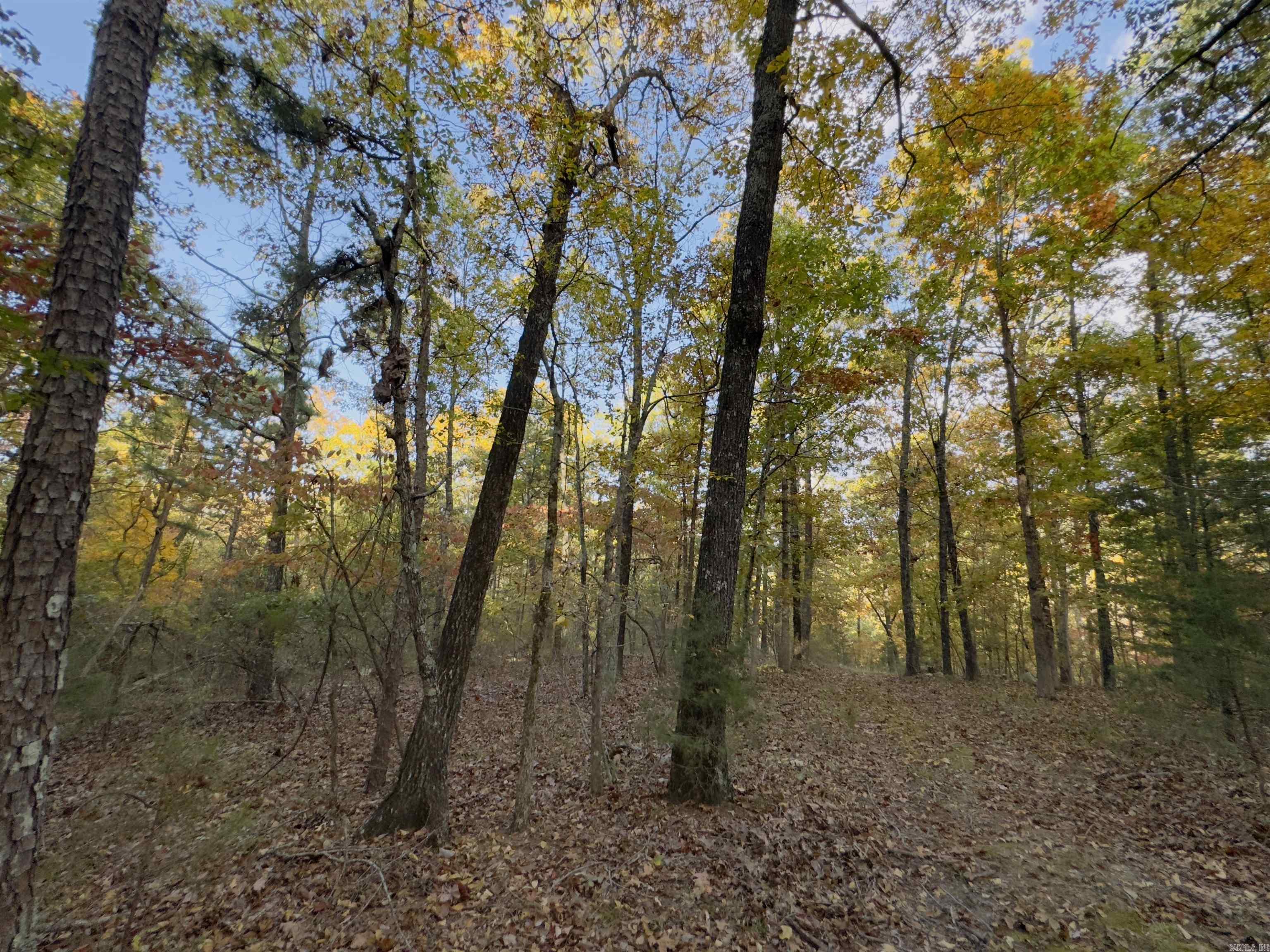 207  Hippy Hollow Lane  Melbourne, AR