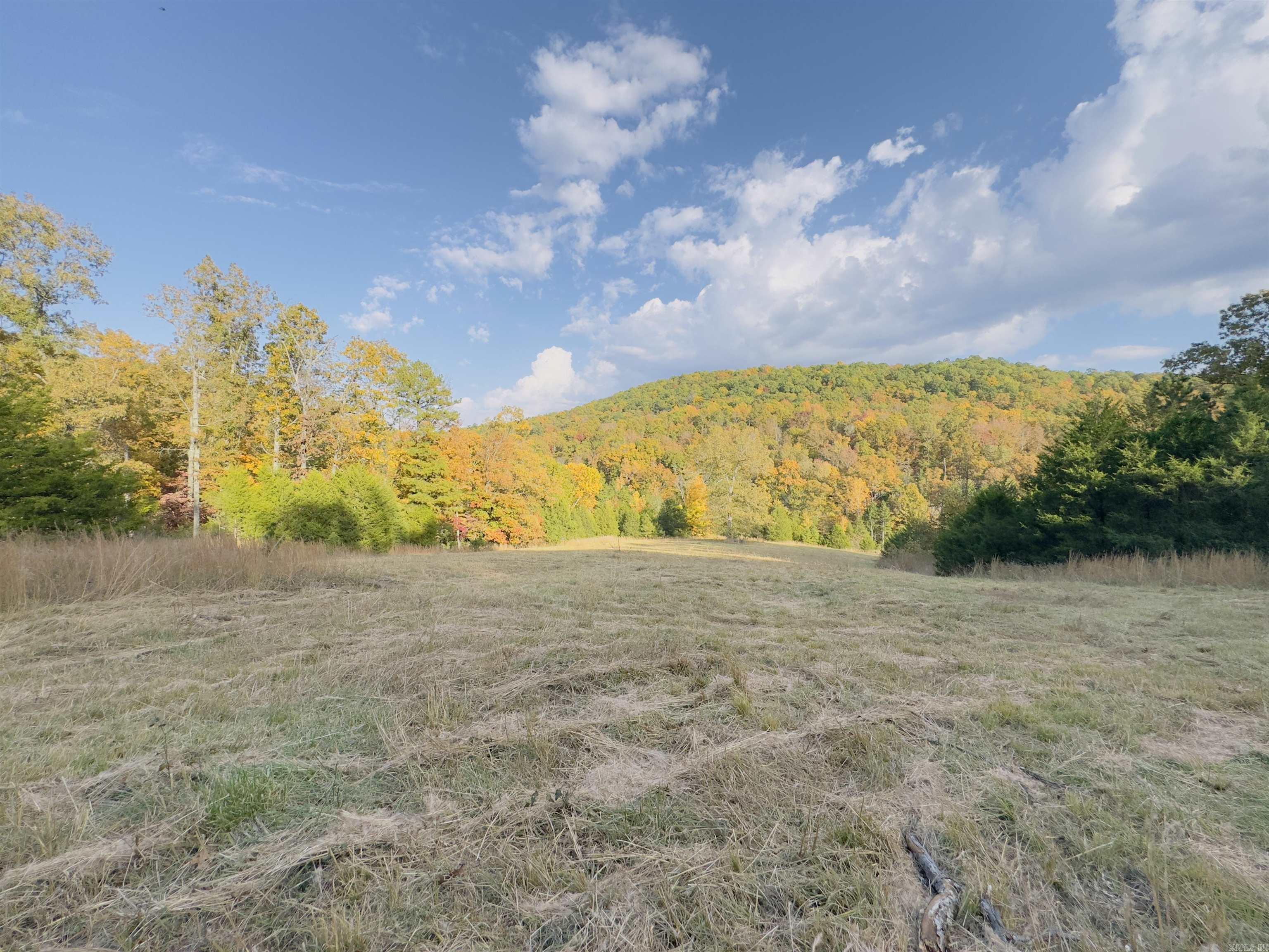 207  Hippy Hollow Lane  Melbourne, AR