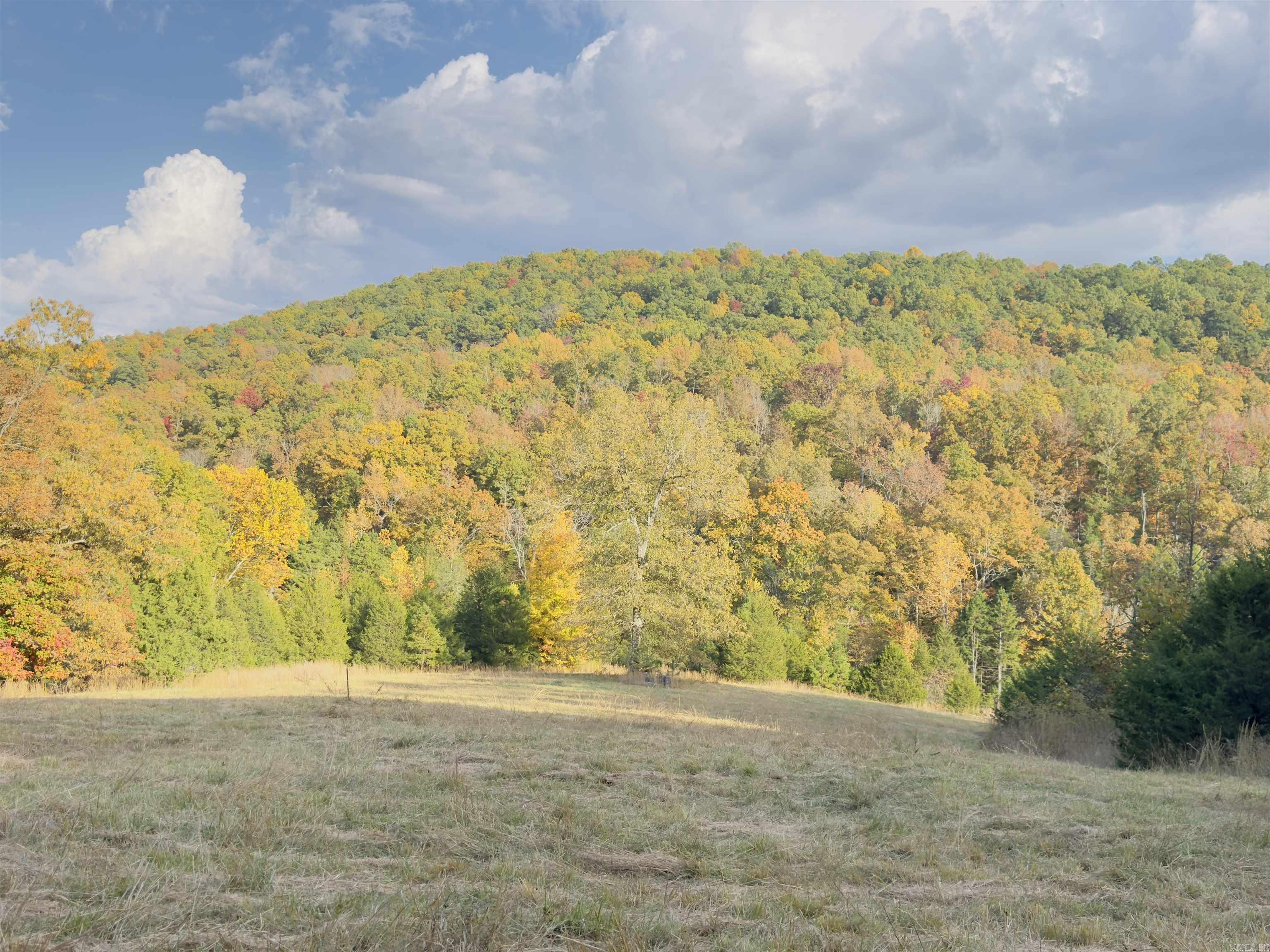 207  Hippy Hollow Lane  Melbourne, AR