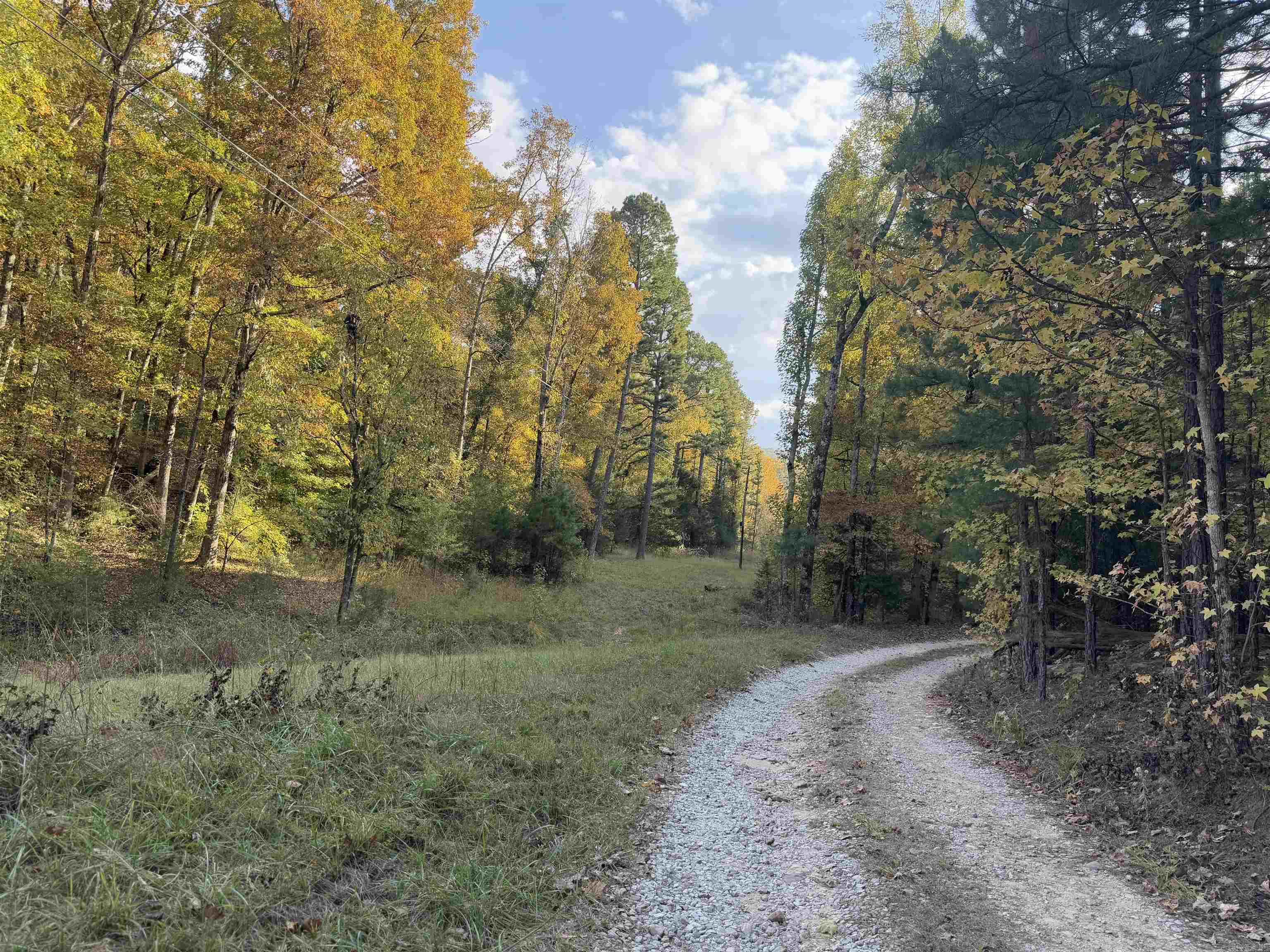 207  Hippy Hollow Lane  Melbourne, AR