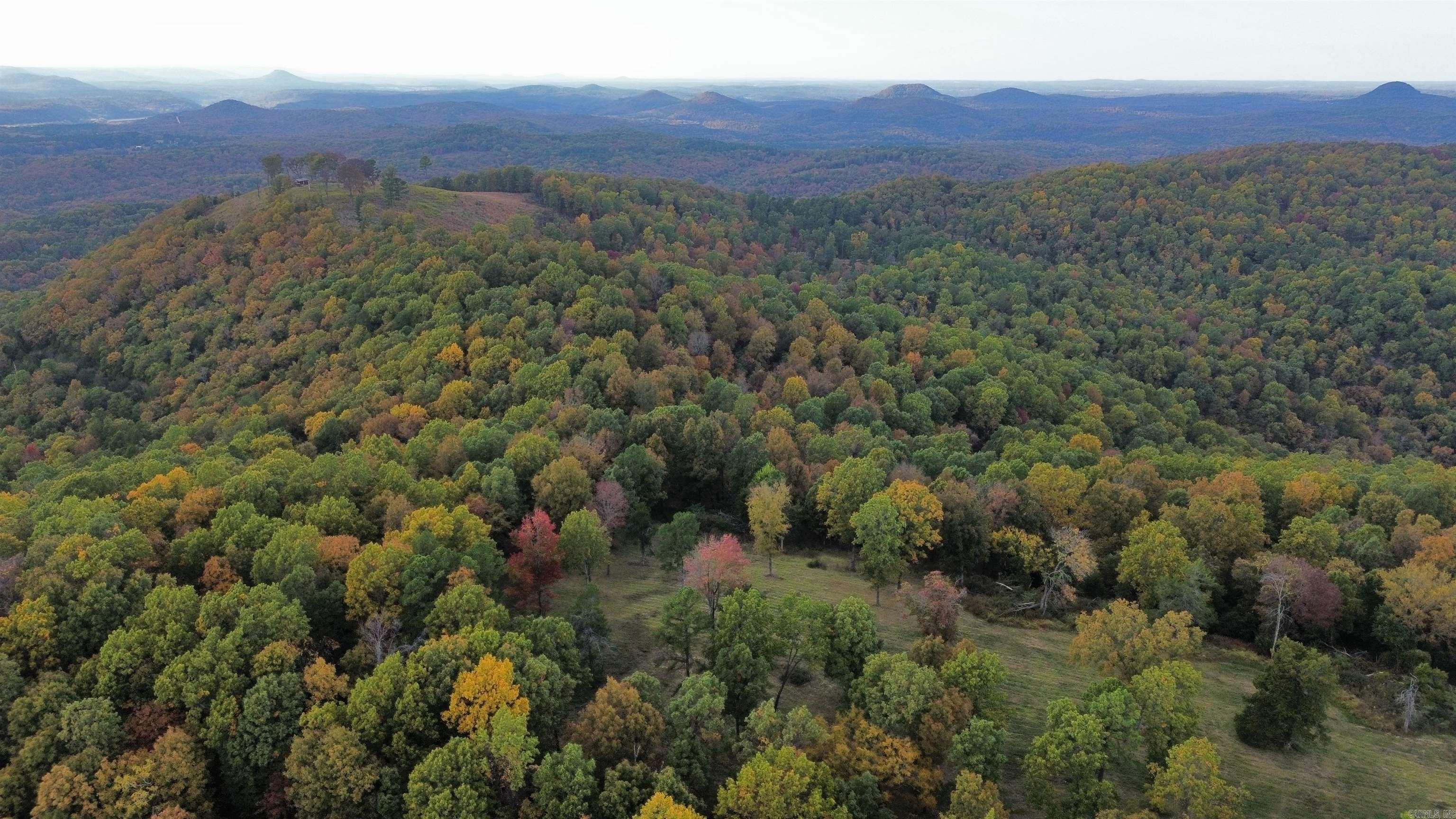 207  Hippy Hollow Lane  Melbourne, AR