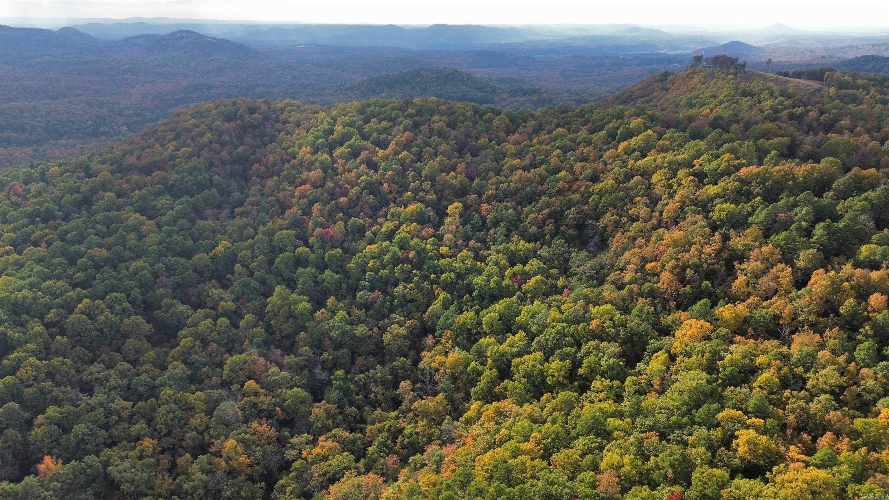 207  Hippy Hollow Lane  Melbourne, AR