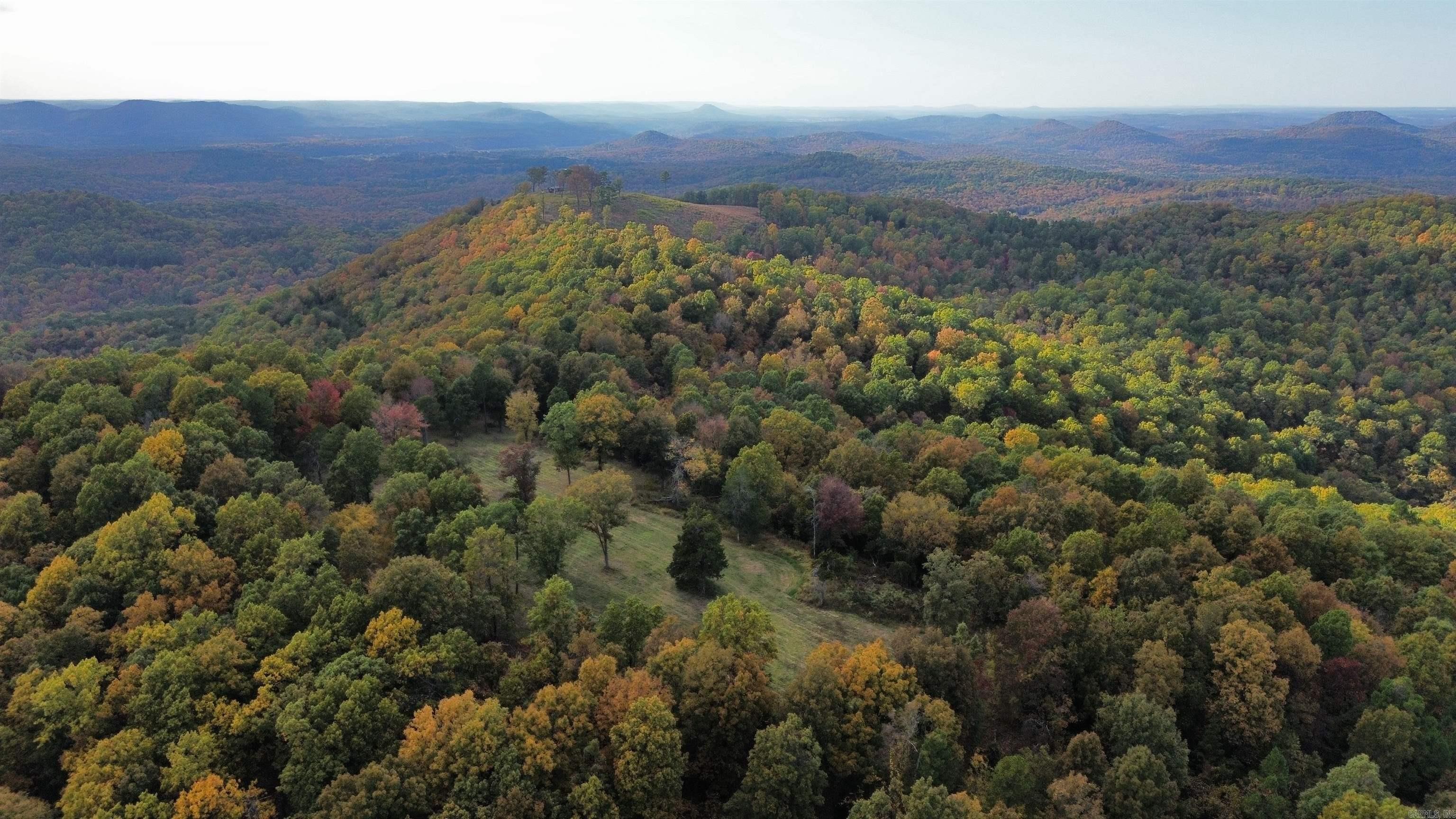 207  Hippy Hollow Lane  Melbourne, AR