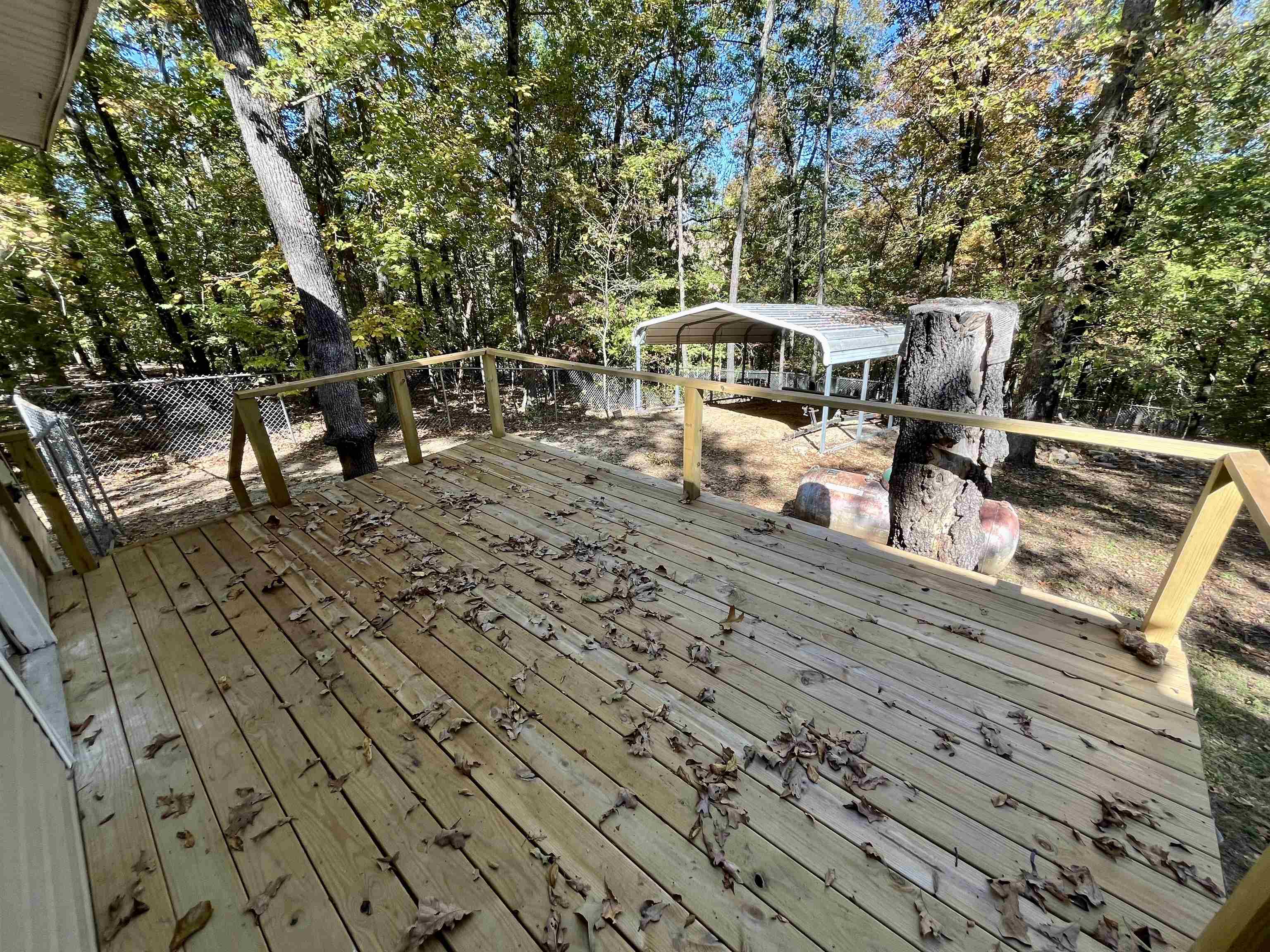 41  Geronimo  Cherokee Village, AR