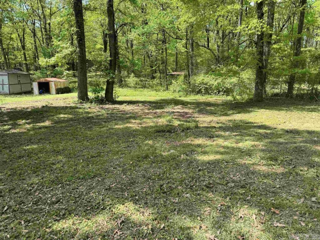 13  Michelle  Jacksonville, AR