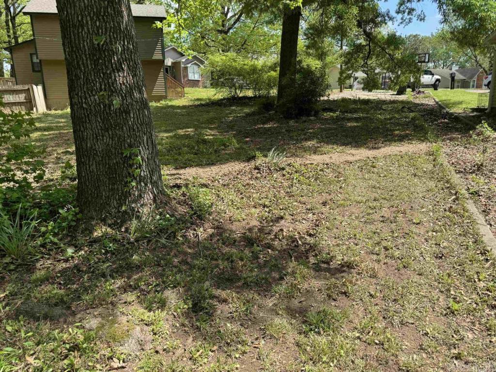 13  Michelle  Jacksonville, AR