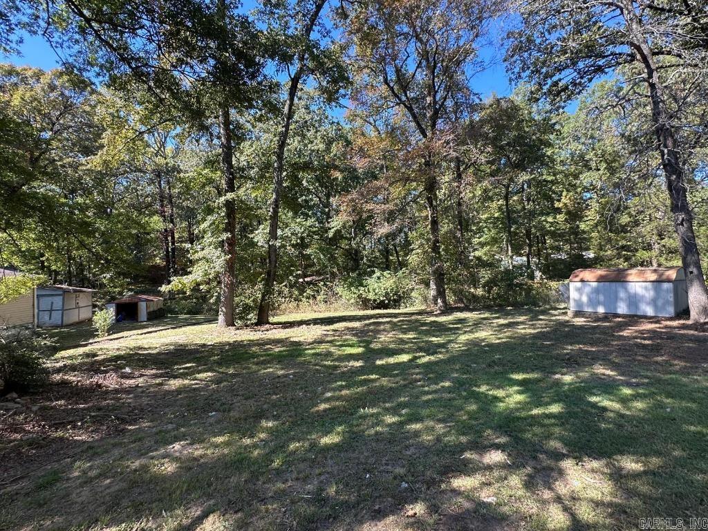 13  Michelle  Jacksonville, AR