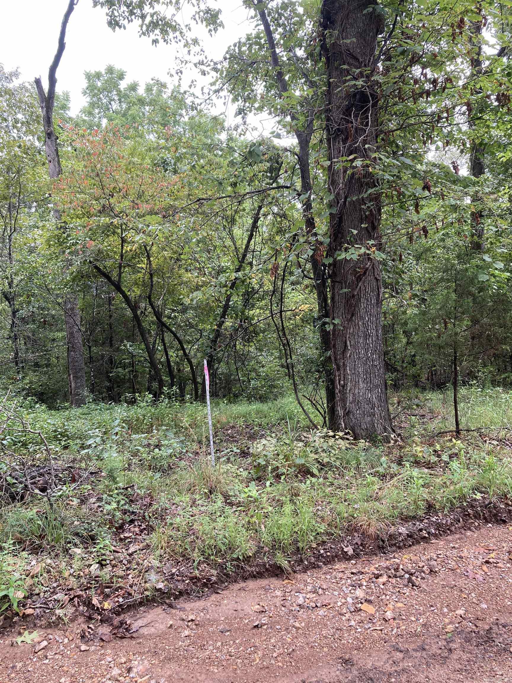 001-05581-000  MC 803  Yellville, AR