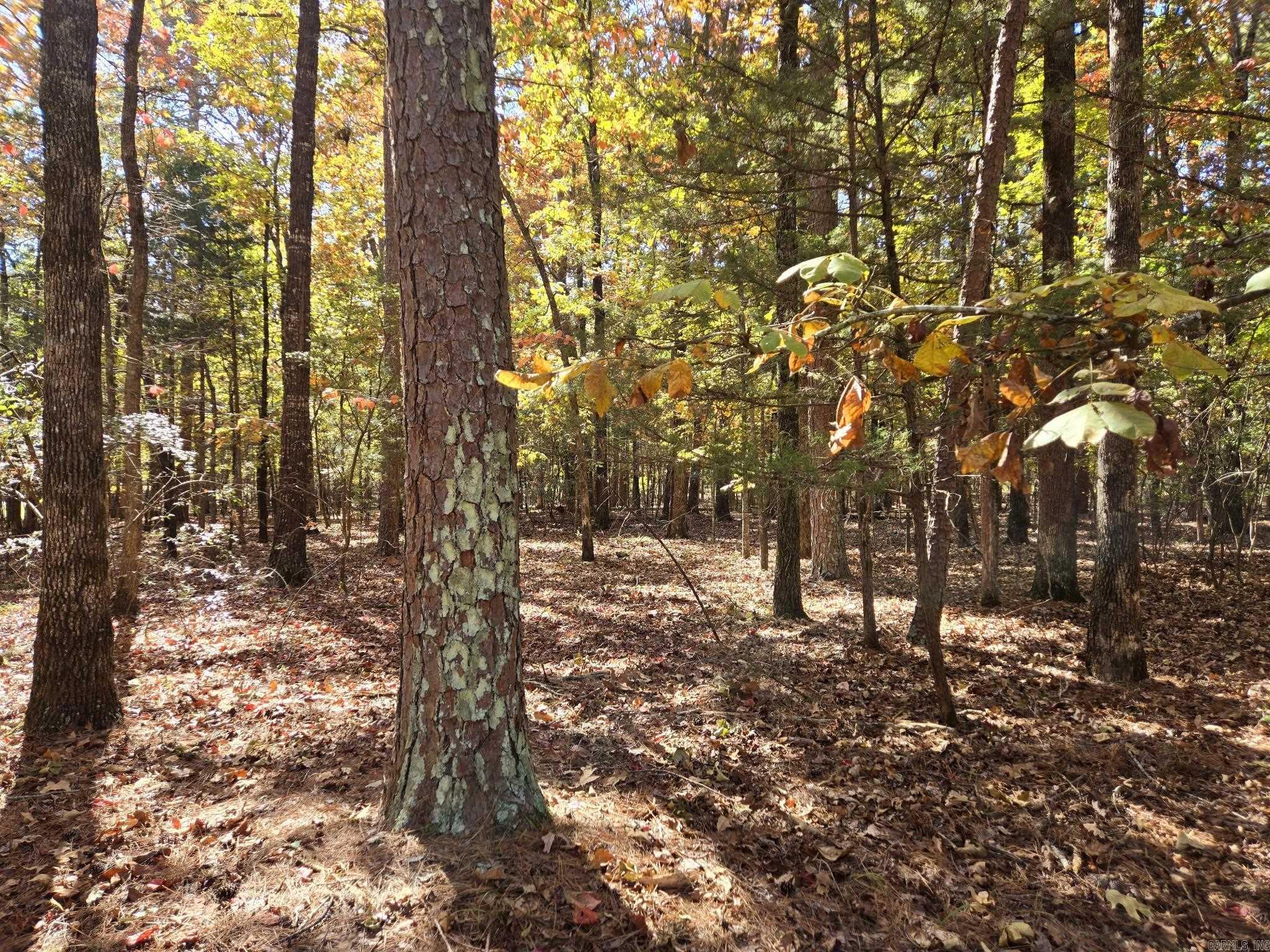 Lot 149  Grenada Circle  Fairfield Bay, AR