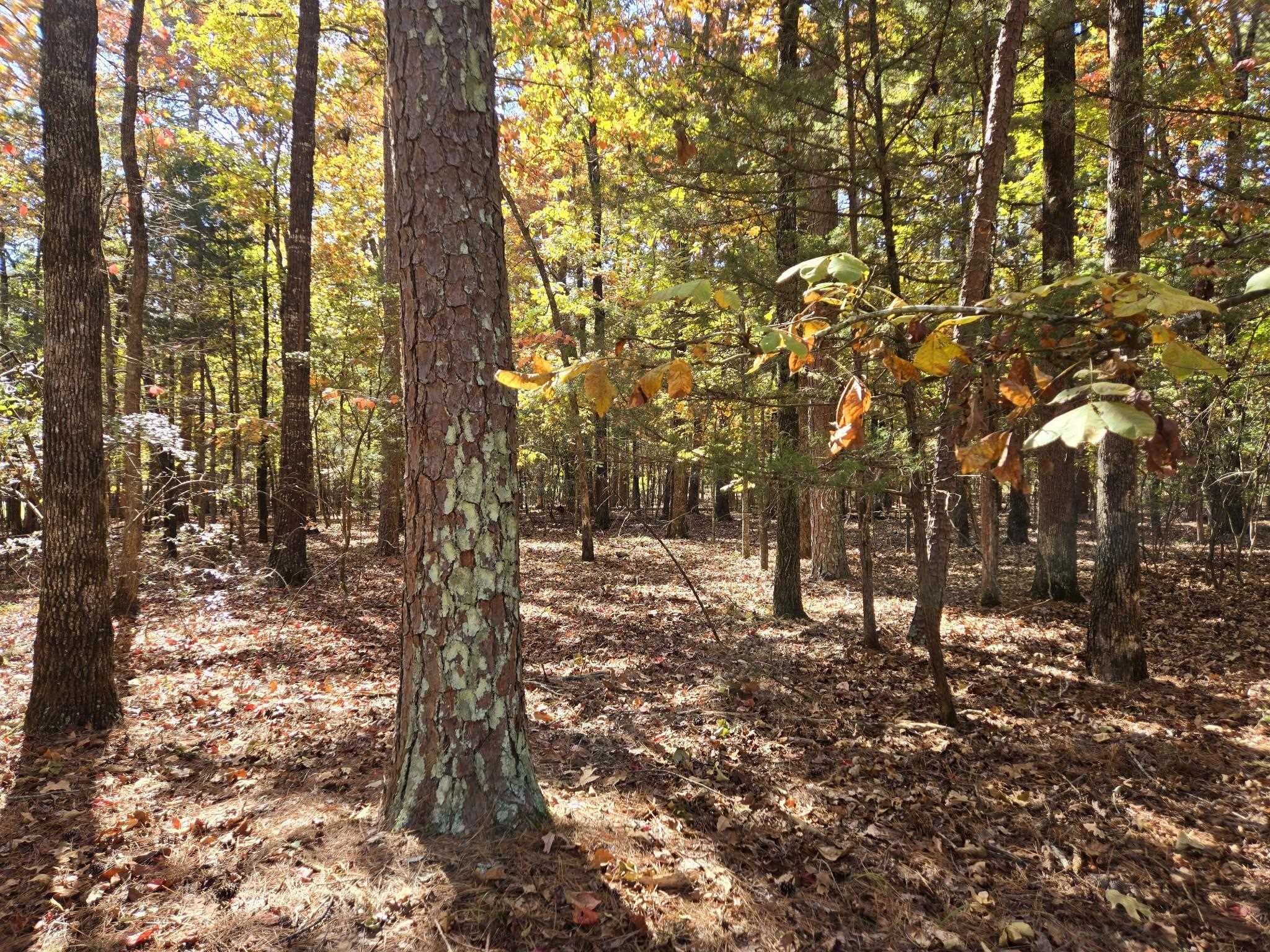 Lot 149 Grenada Circle  Fairfield Bay, AR