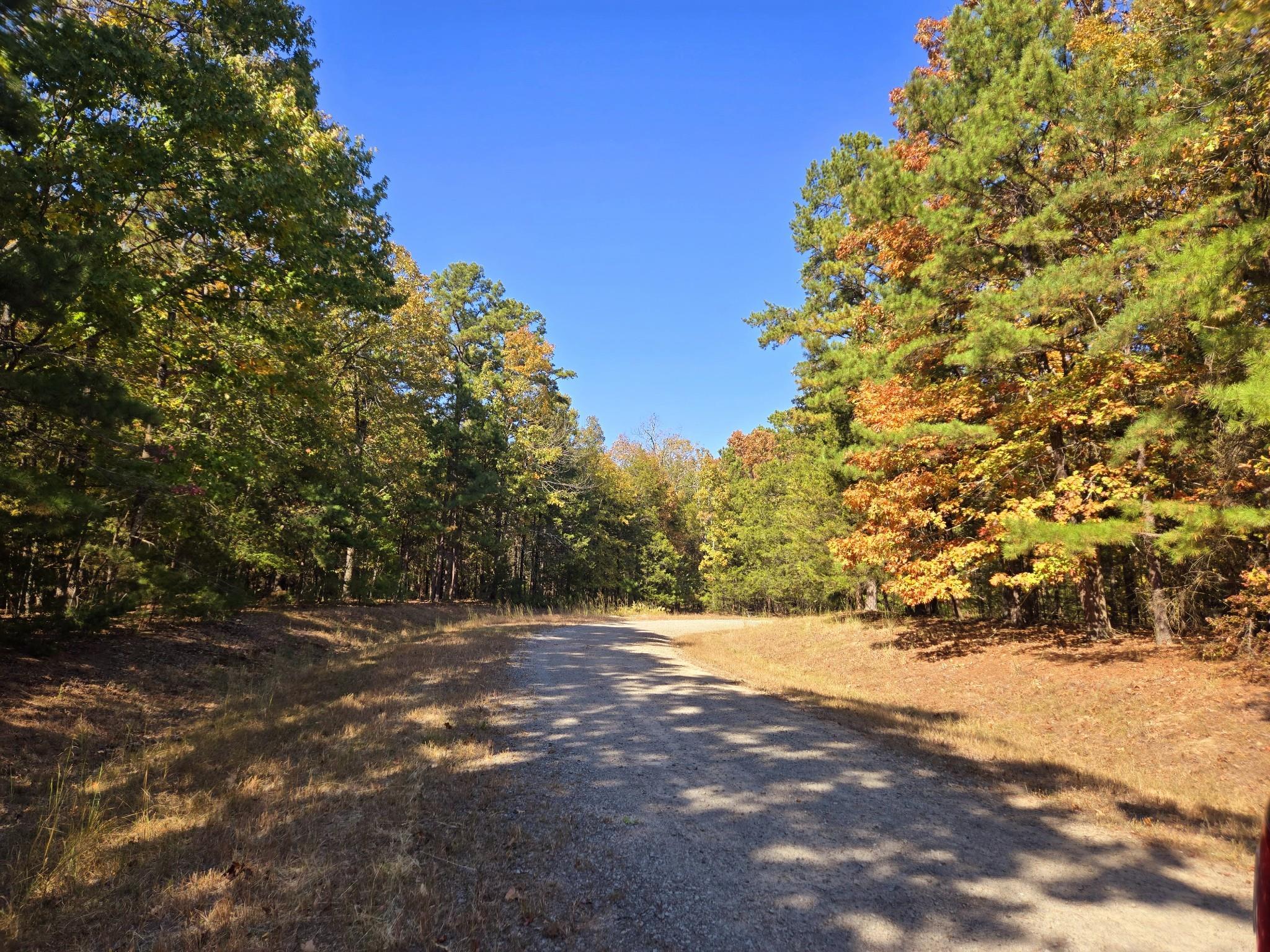 Lot 149 Grenada Circle  Fairfield Bay, AR