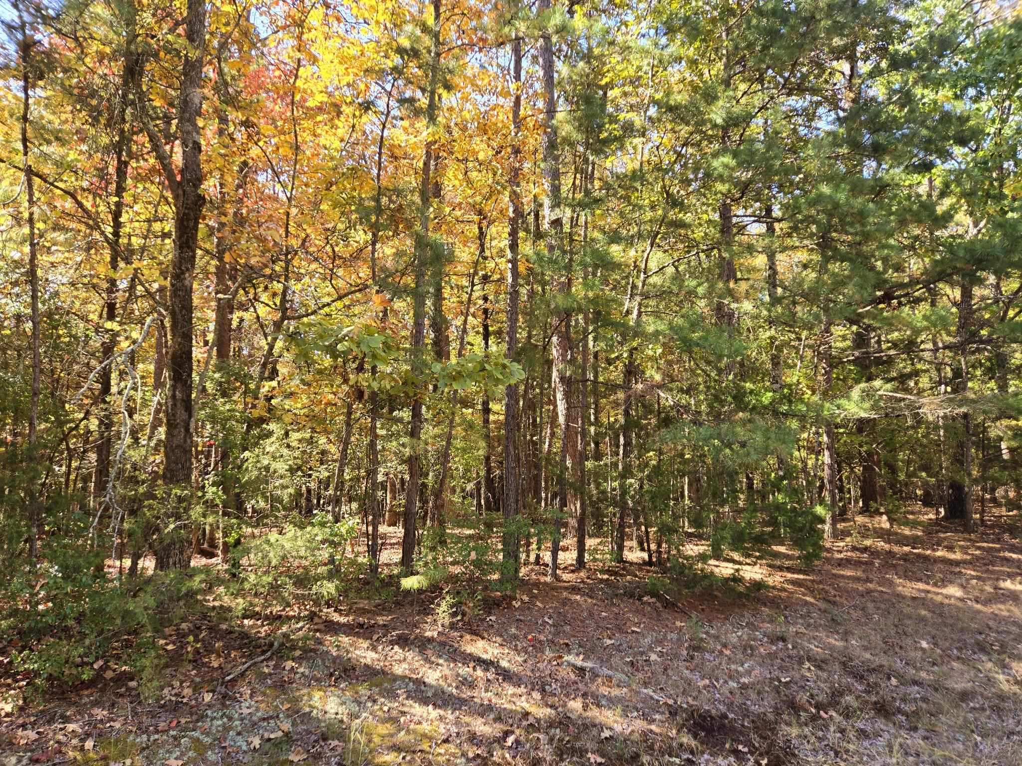 Lot 149 Grenada Circle  Fairfield Bay, AR